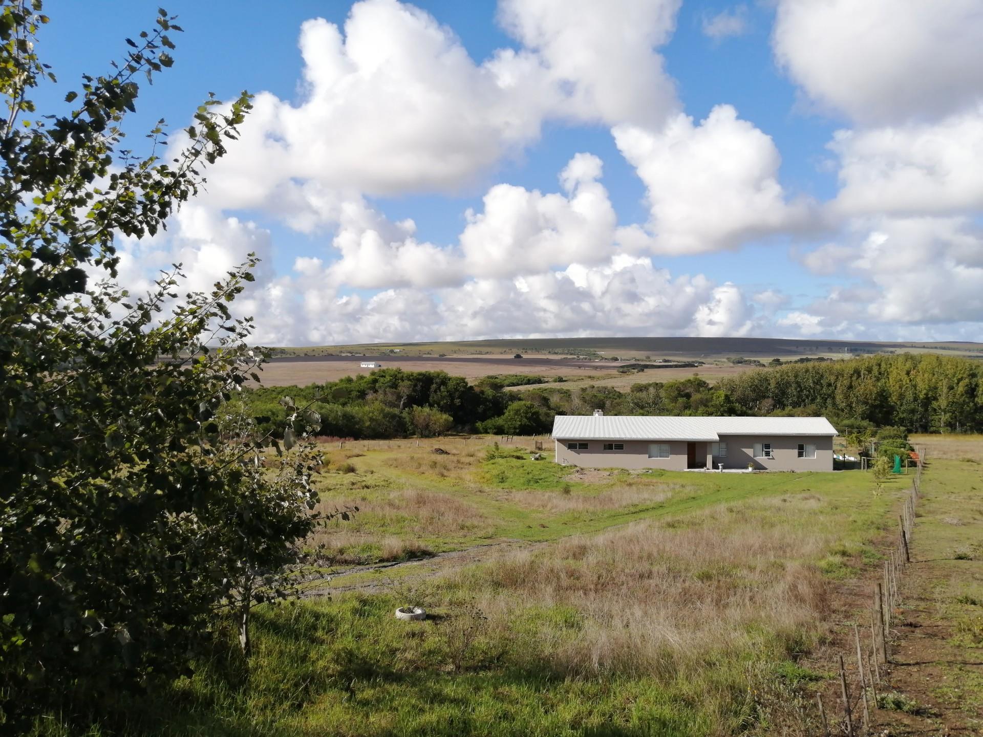 Image 13