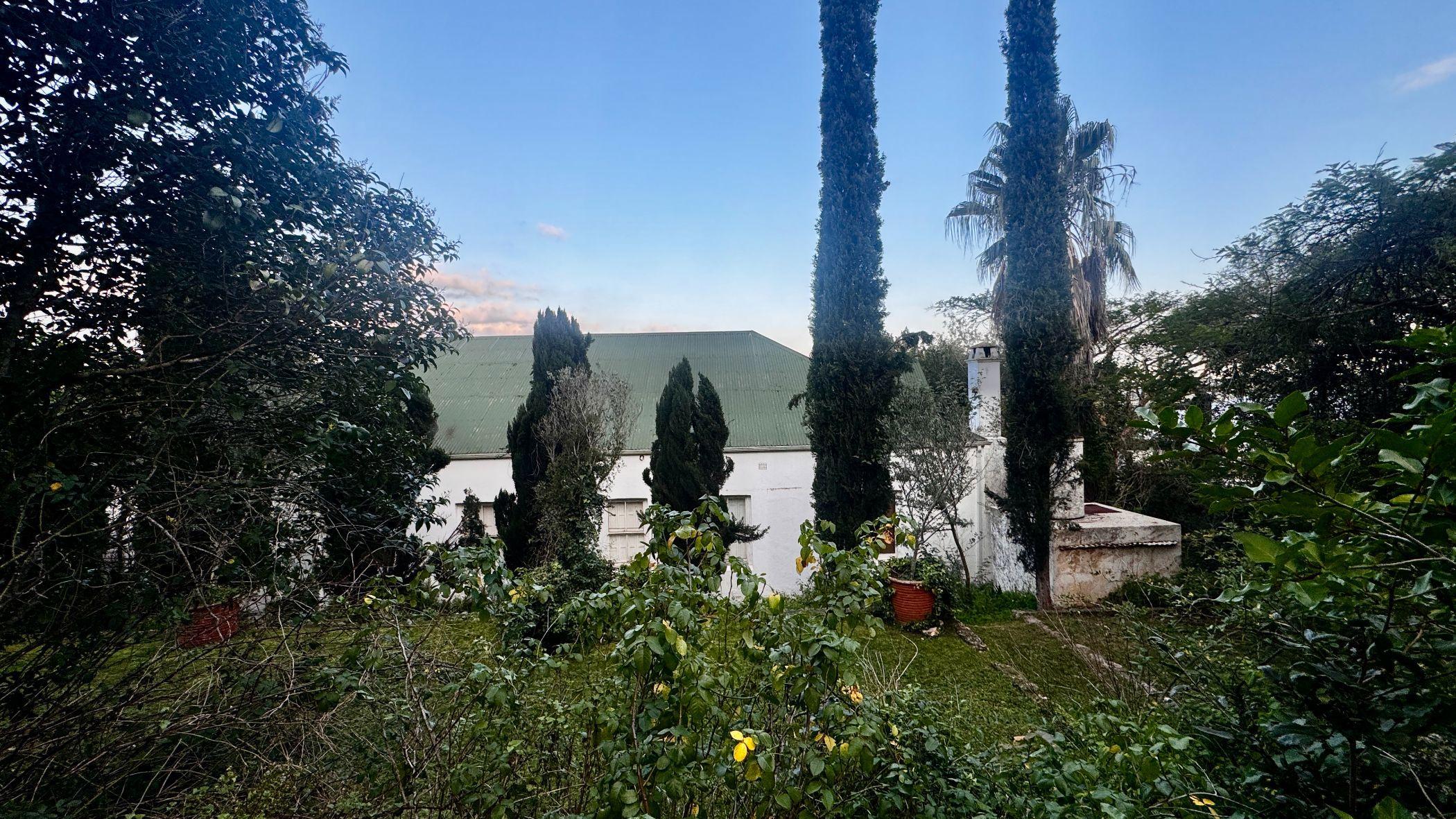 Image 31