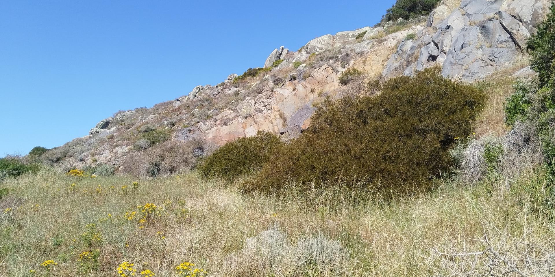 Image 4 of 6