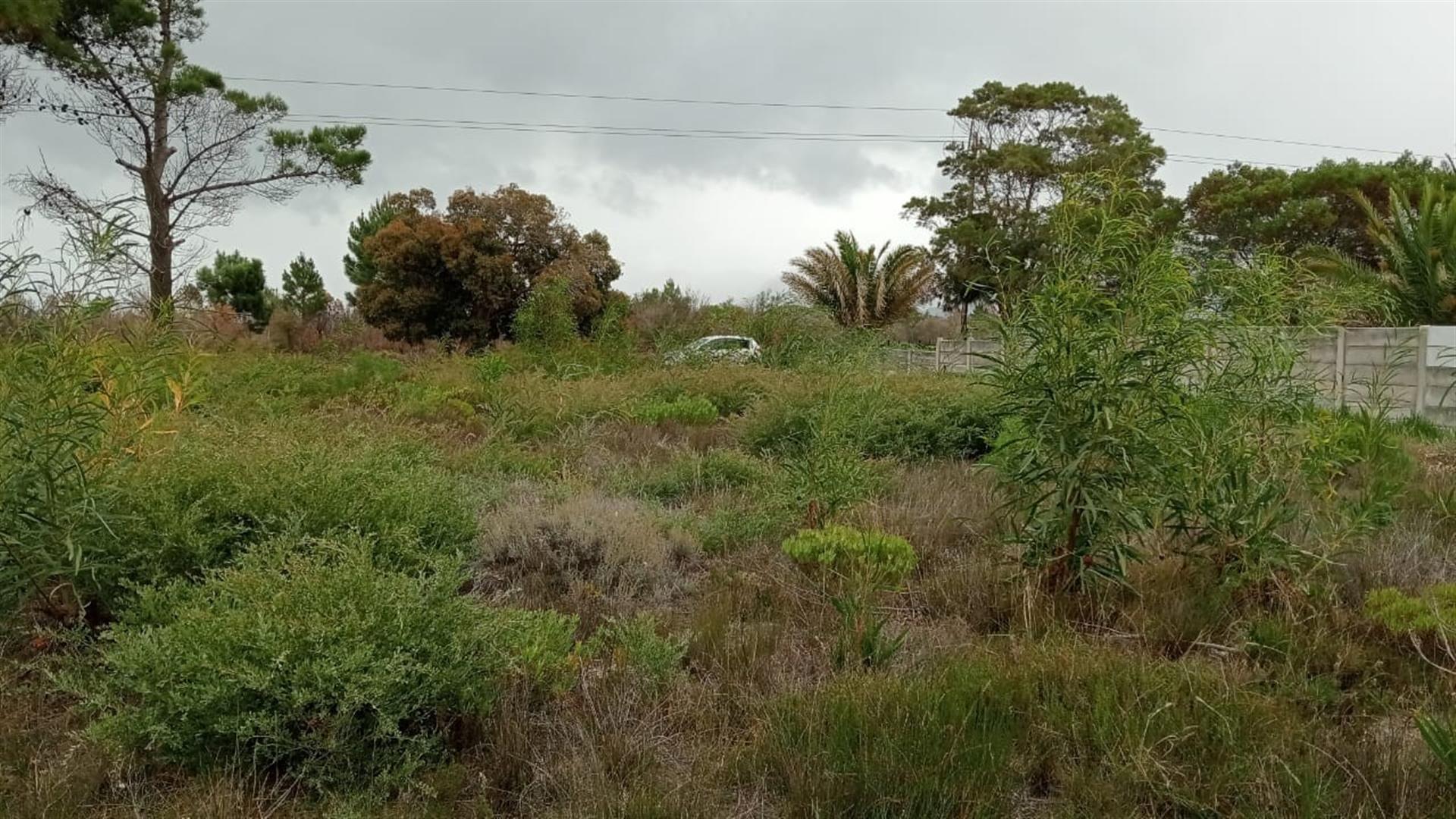 Image 5 of 6