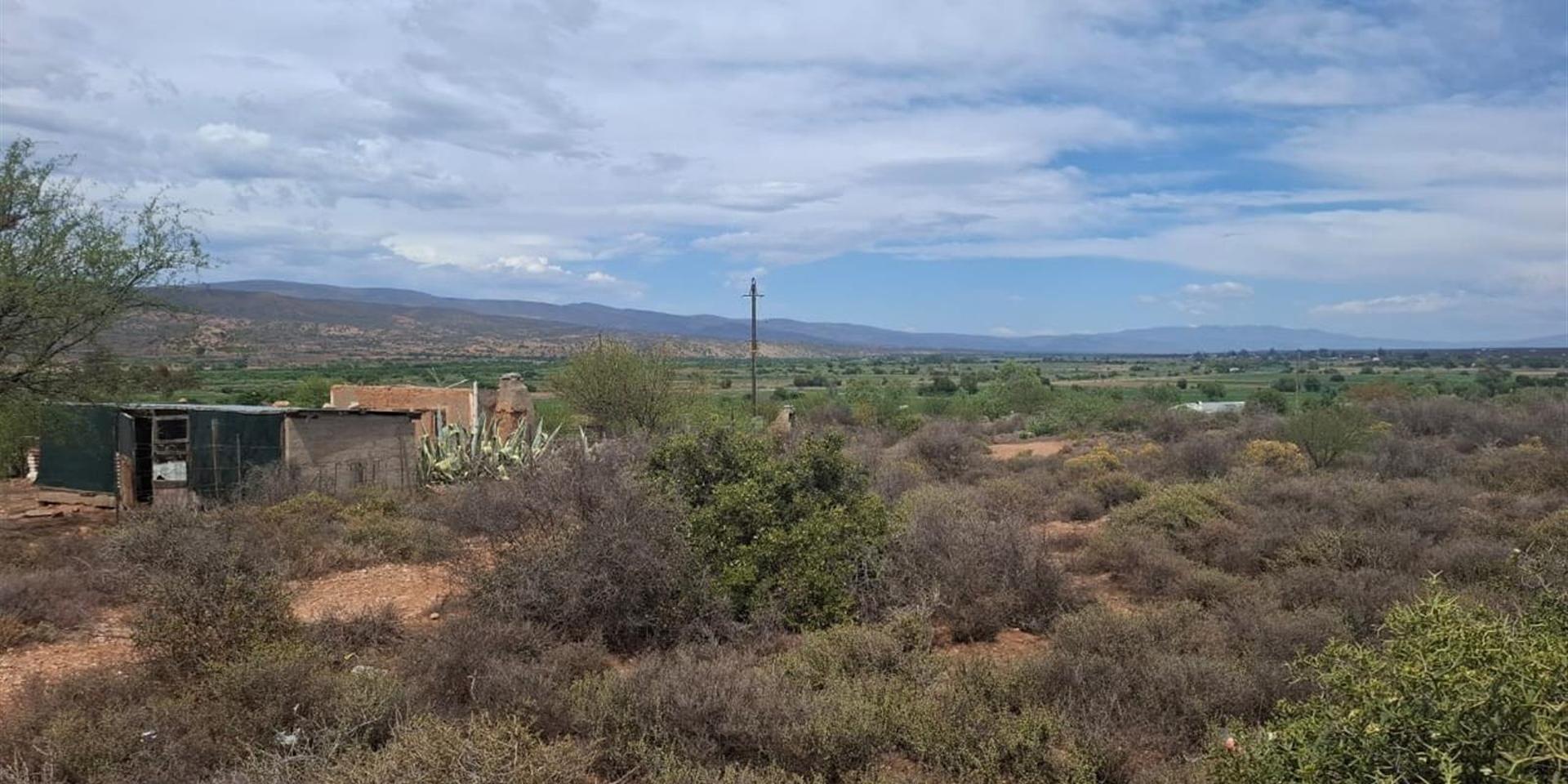 Image 4 of 6