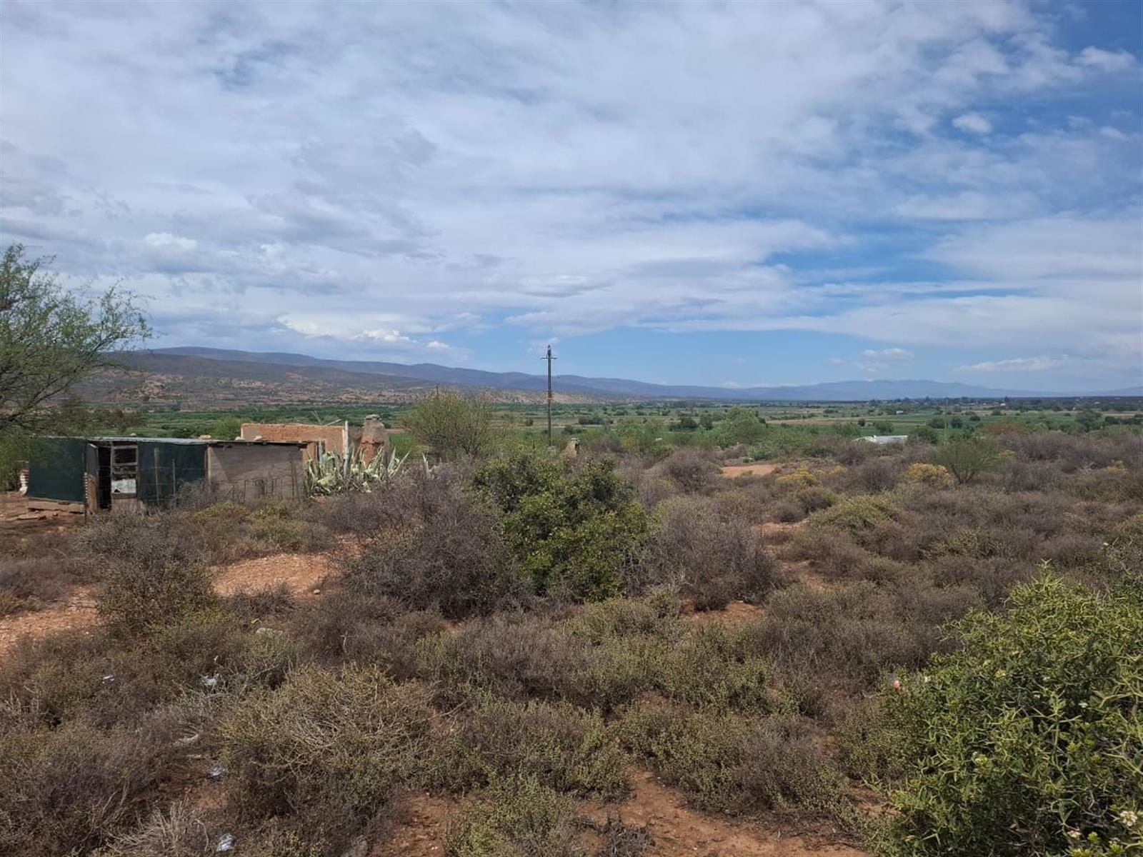 Image 4 of 6