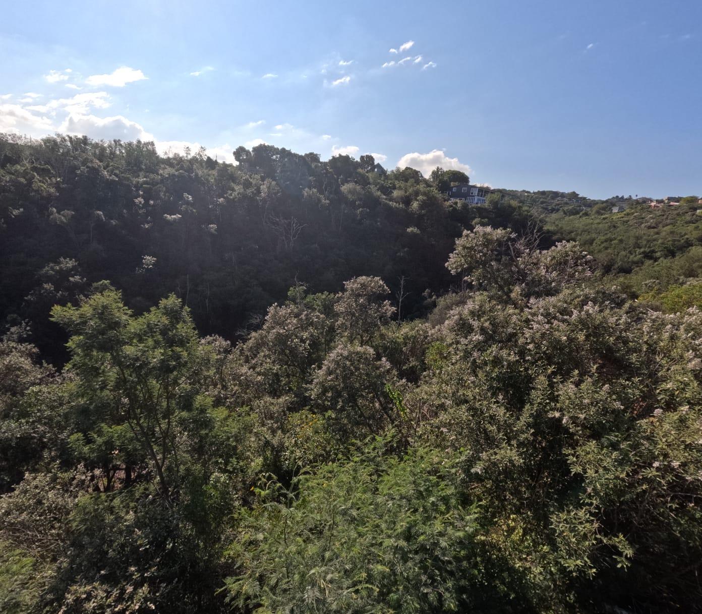 Image 4 of 6