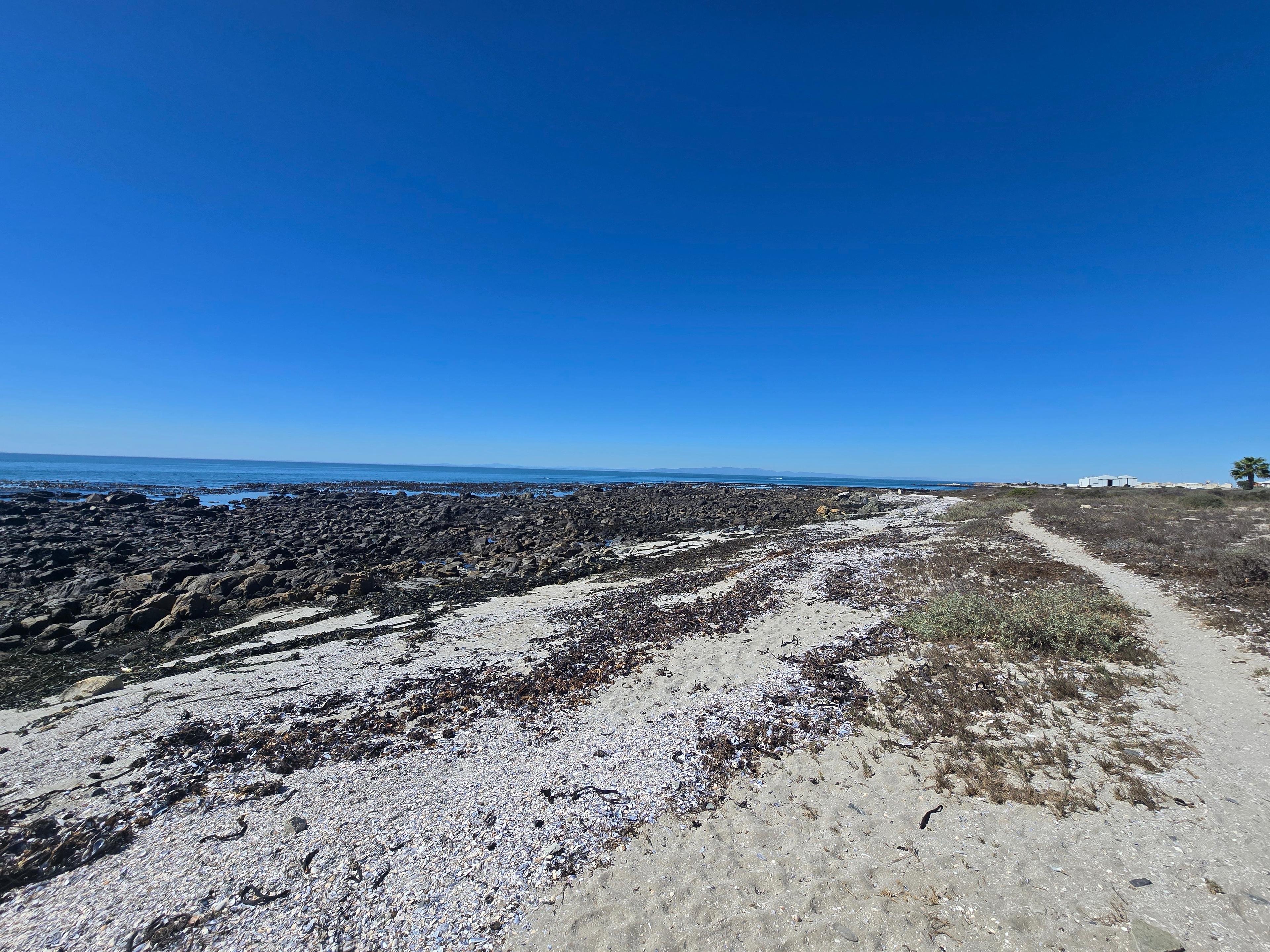 Image 38