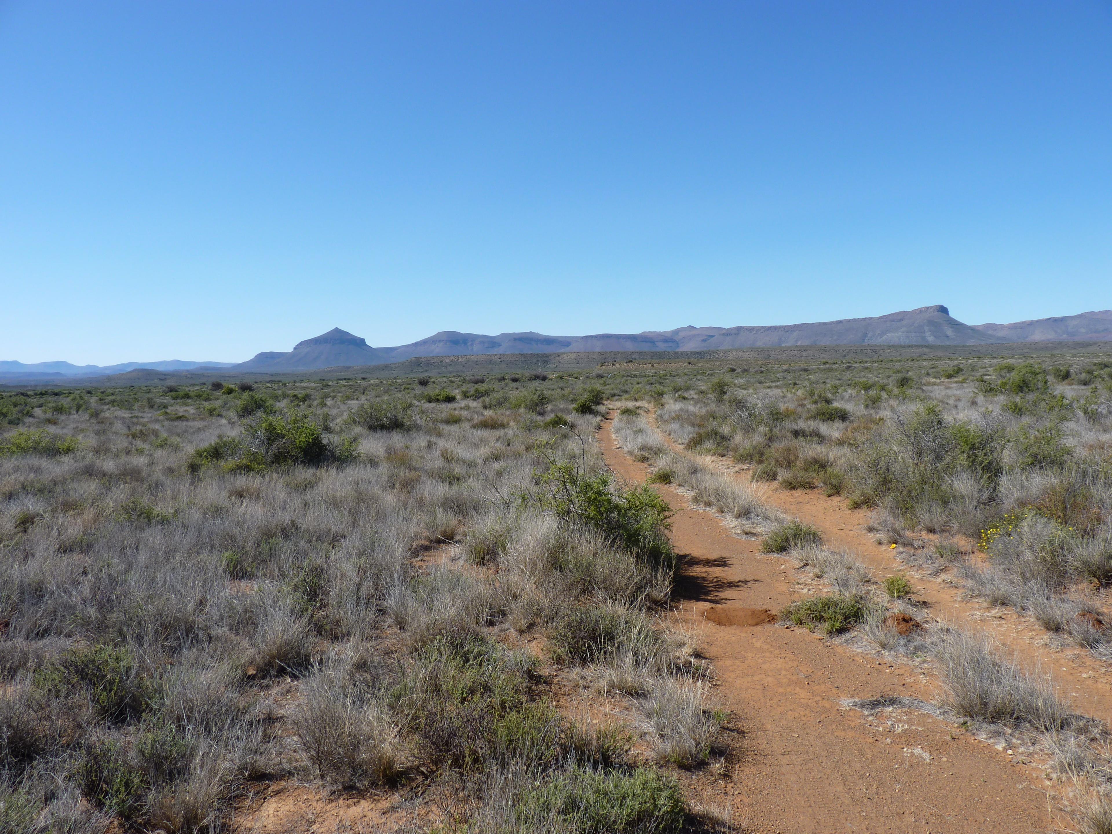 Image 80
