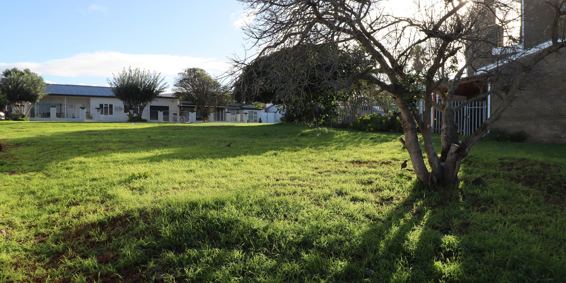 Image 4 of 6