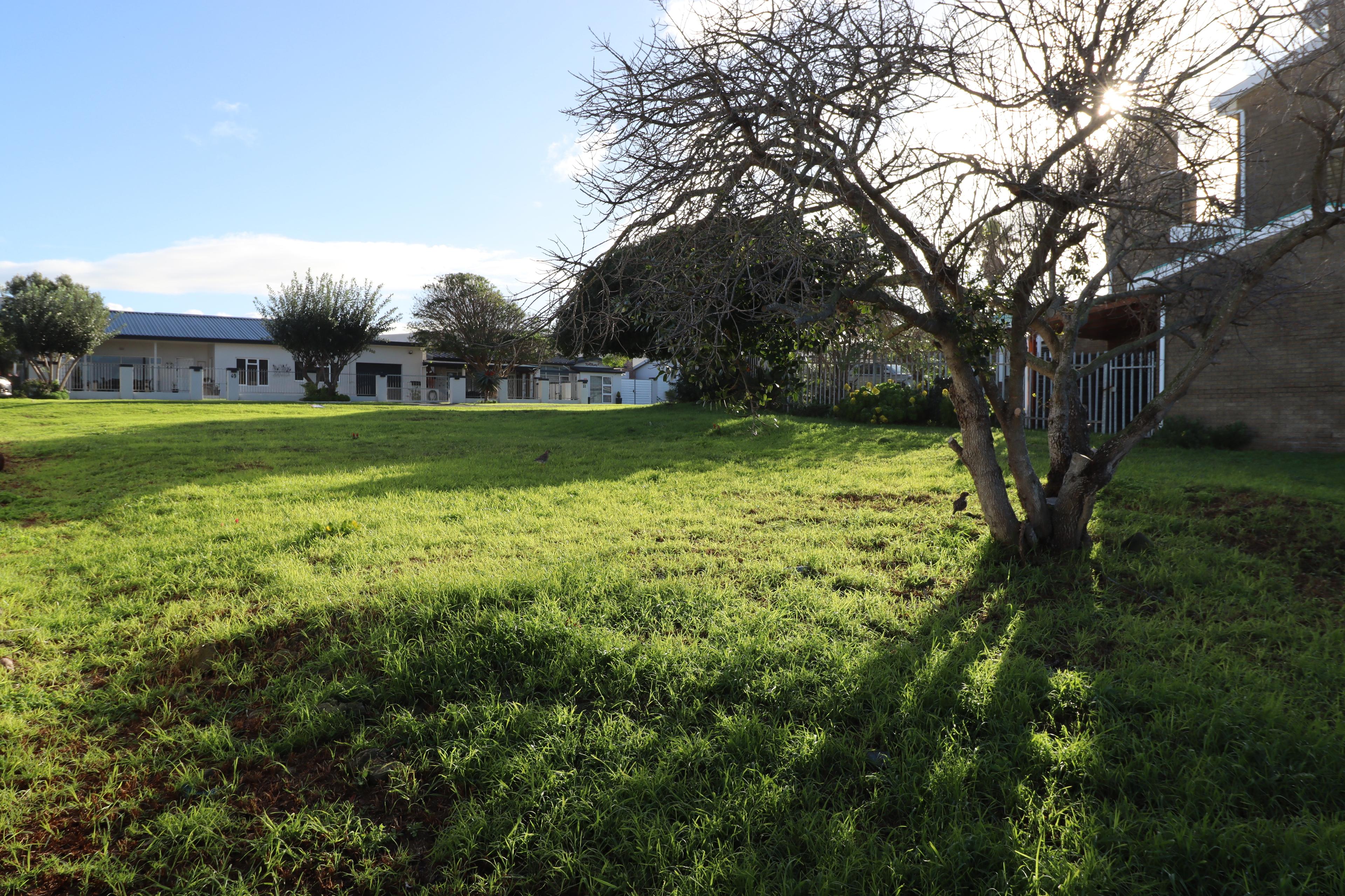 Image 4 of 6