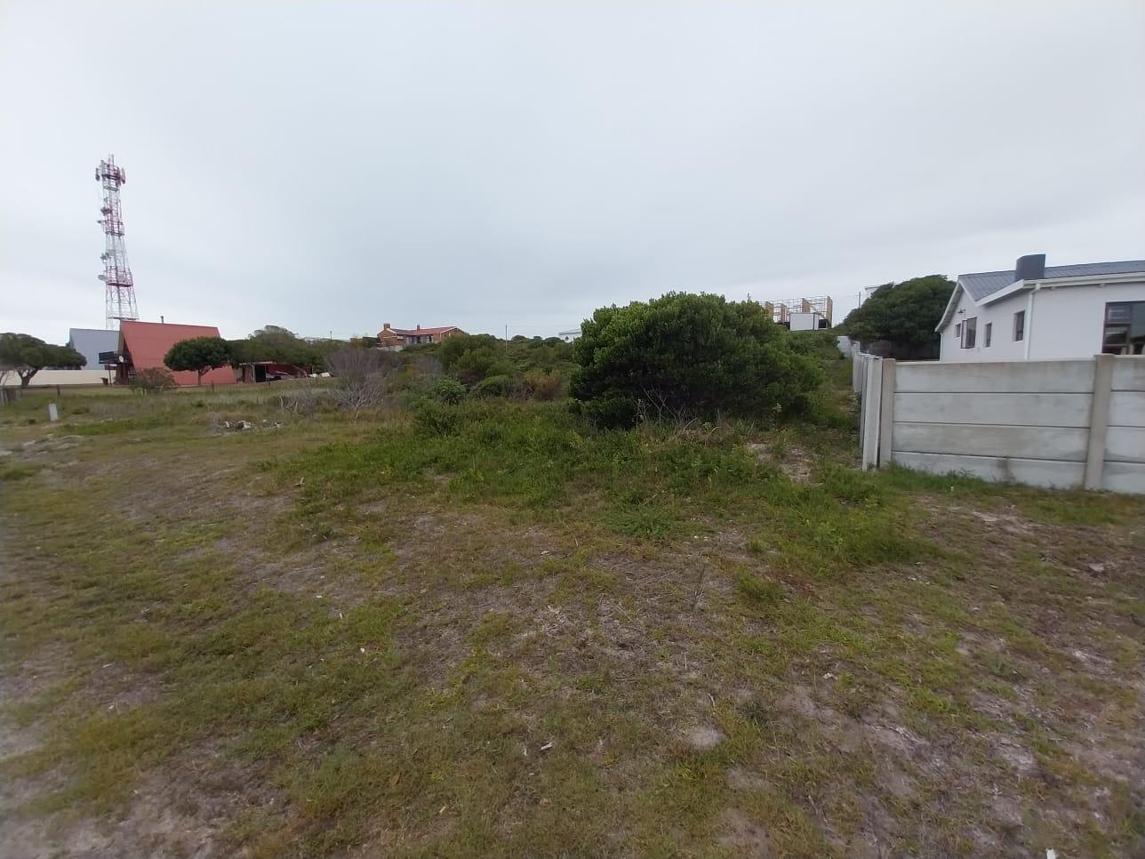 Image 12