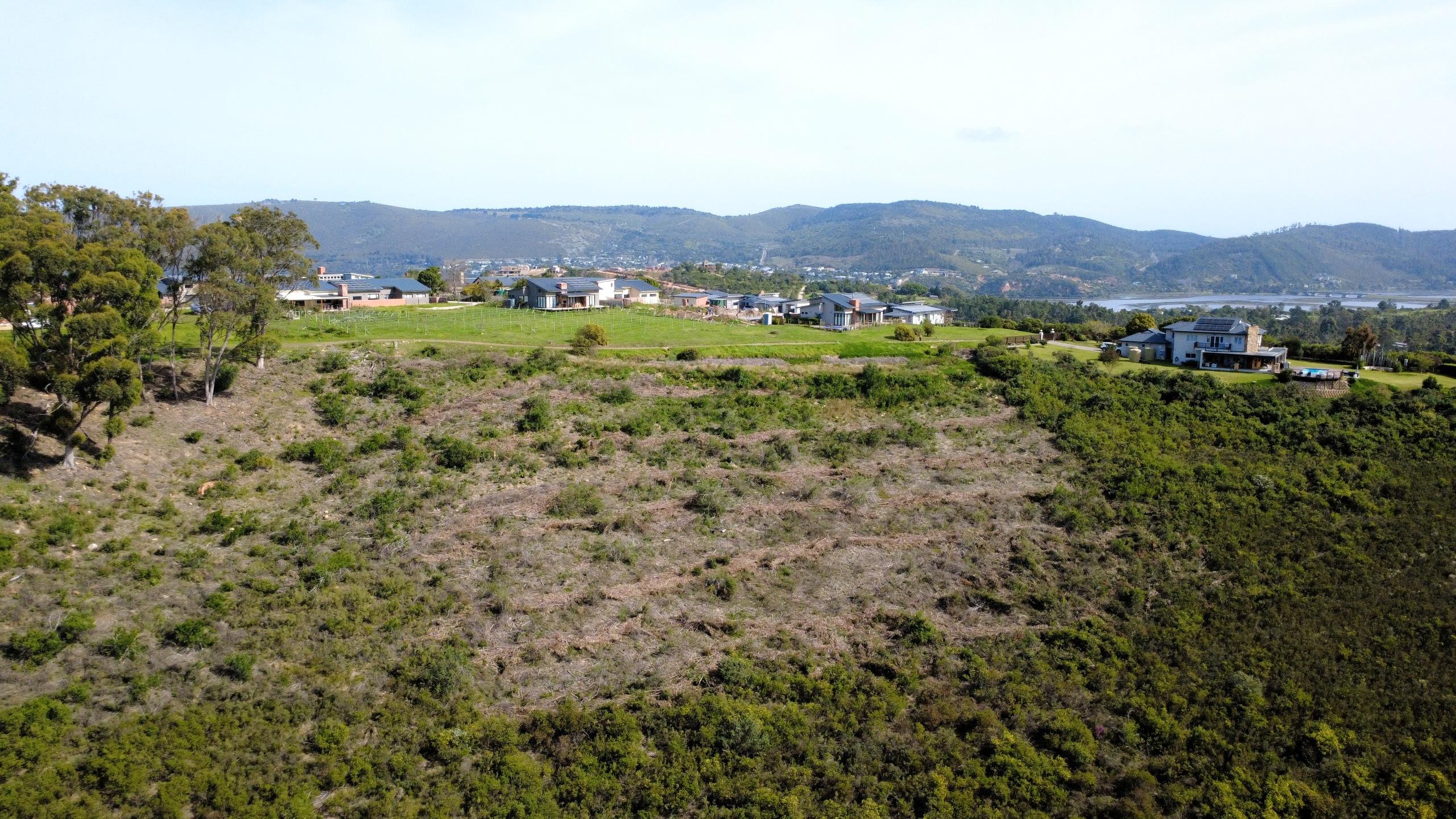 Image 5 of 6
