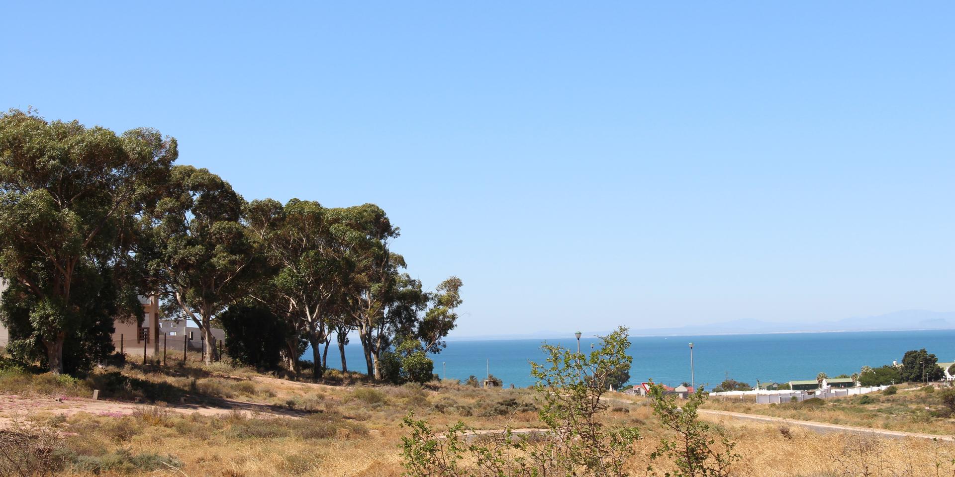 Image 2 of 6