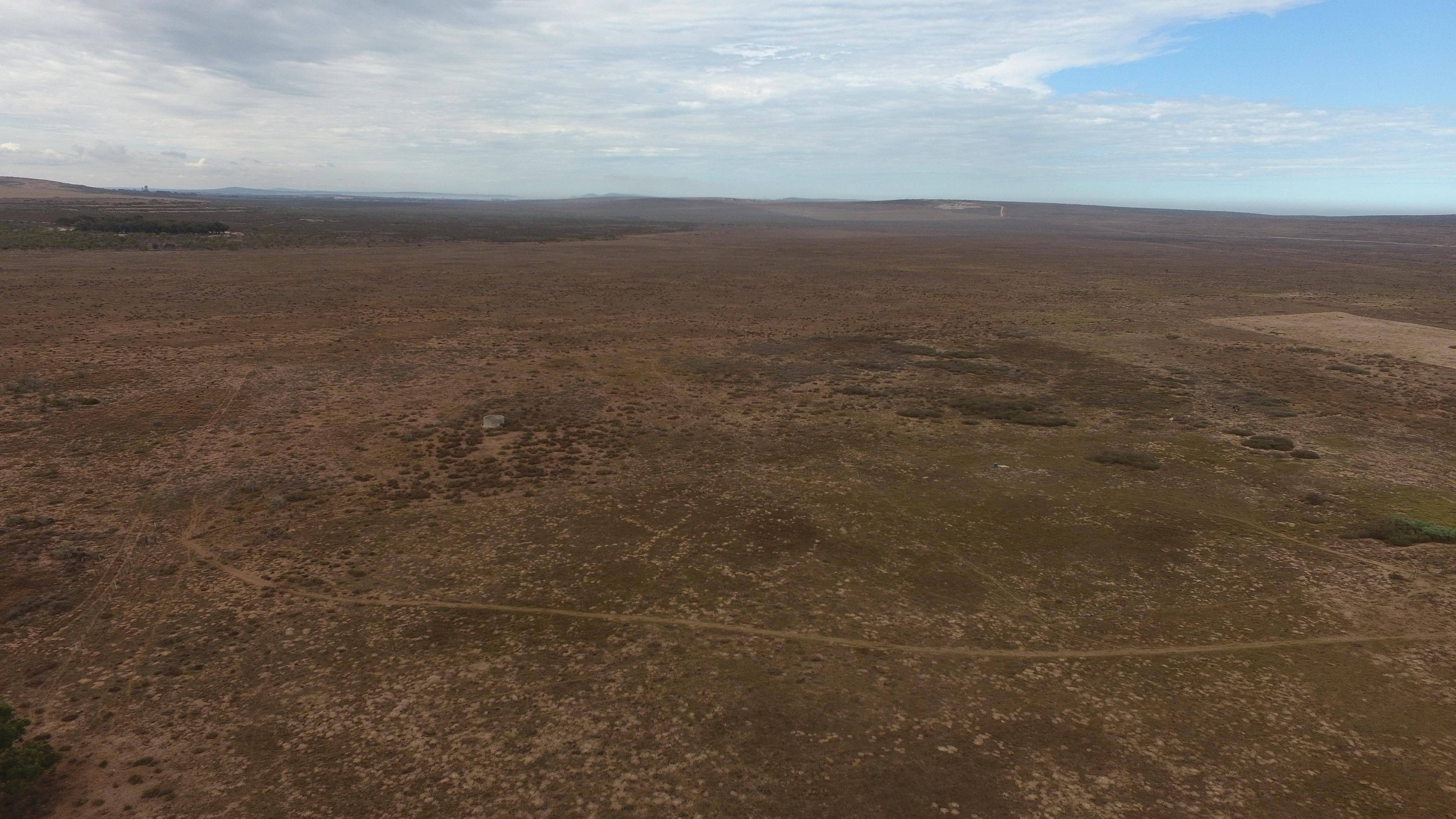 Image 12