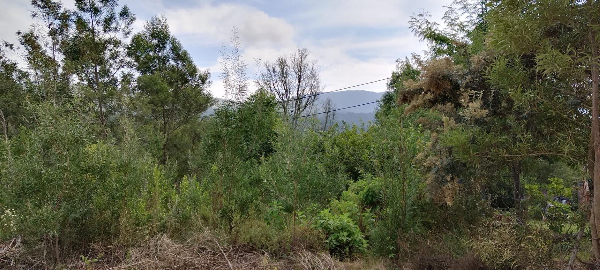 Image 5 of 6