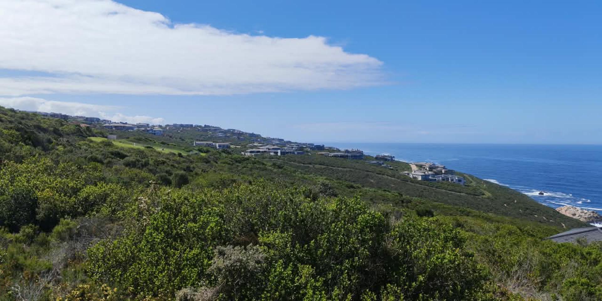 Image 5 of 6