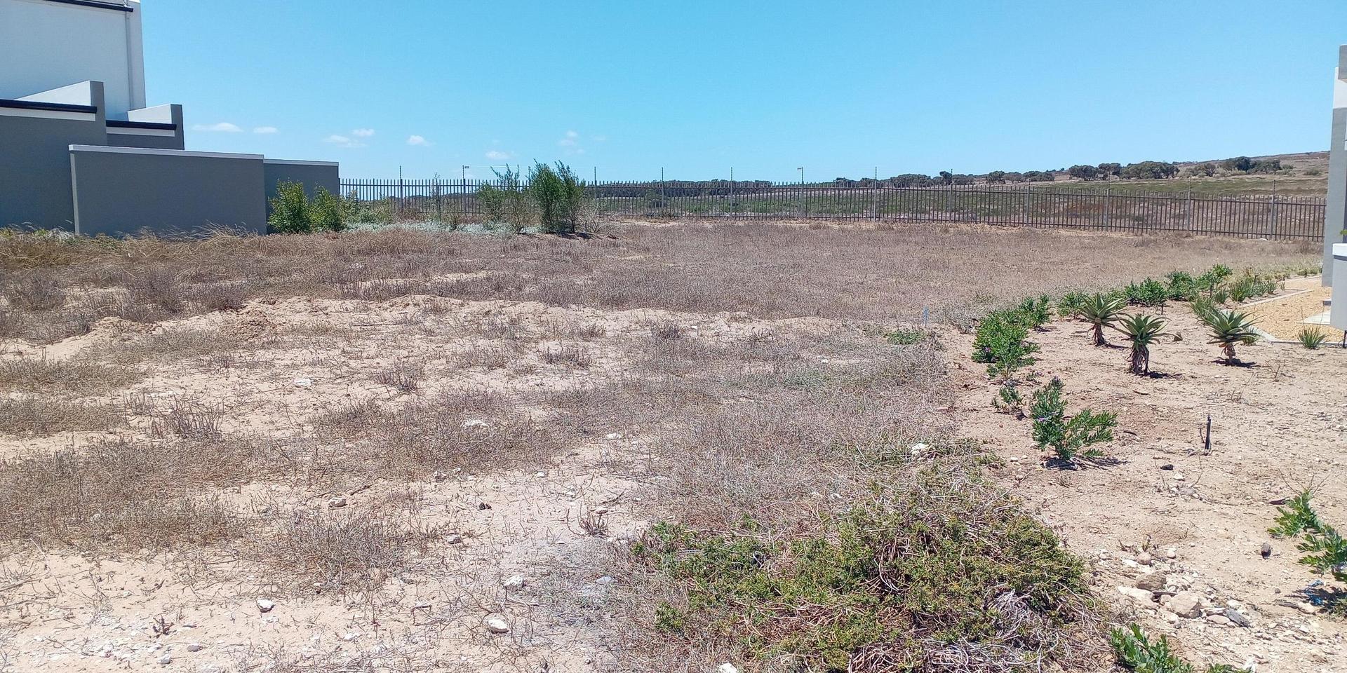 Image 4 of 6
