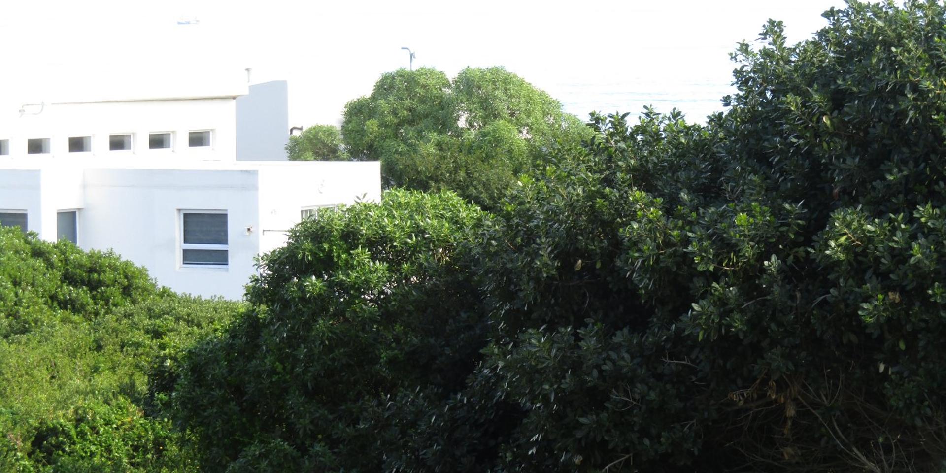 Image 5 of 6