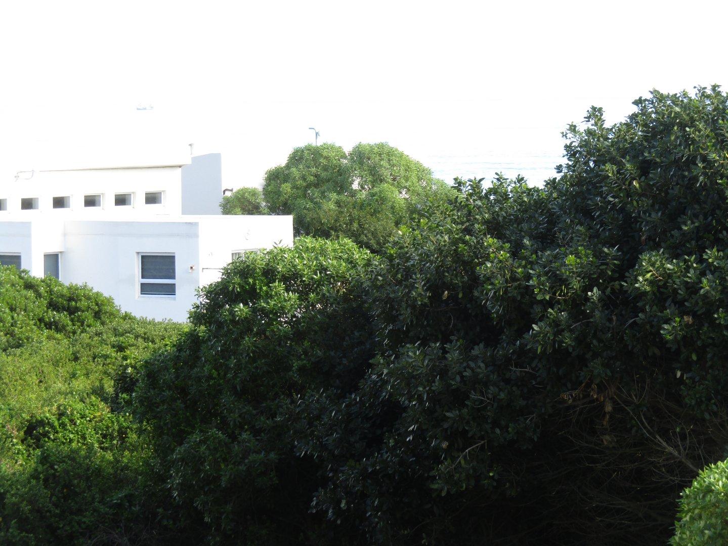 Image 5 of 6