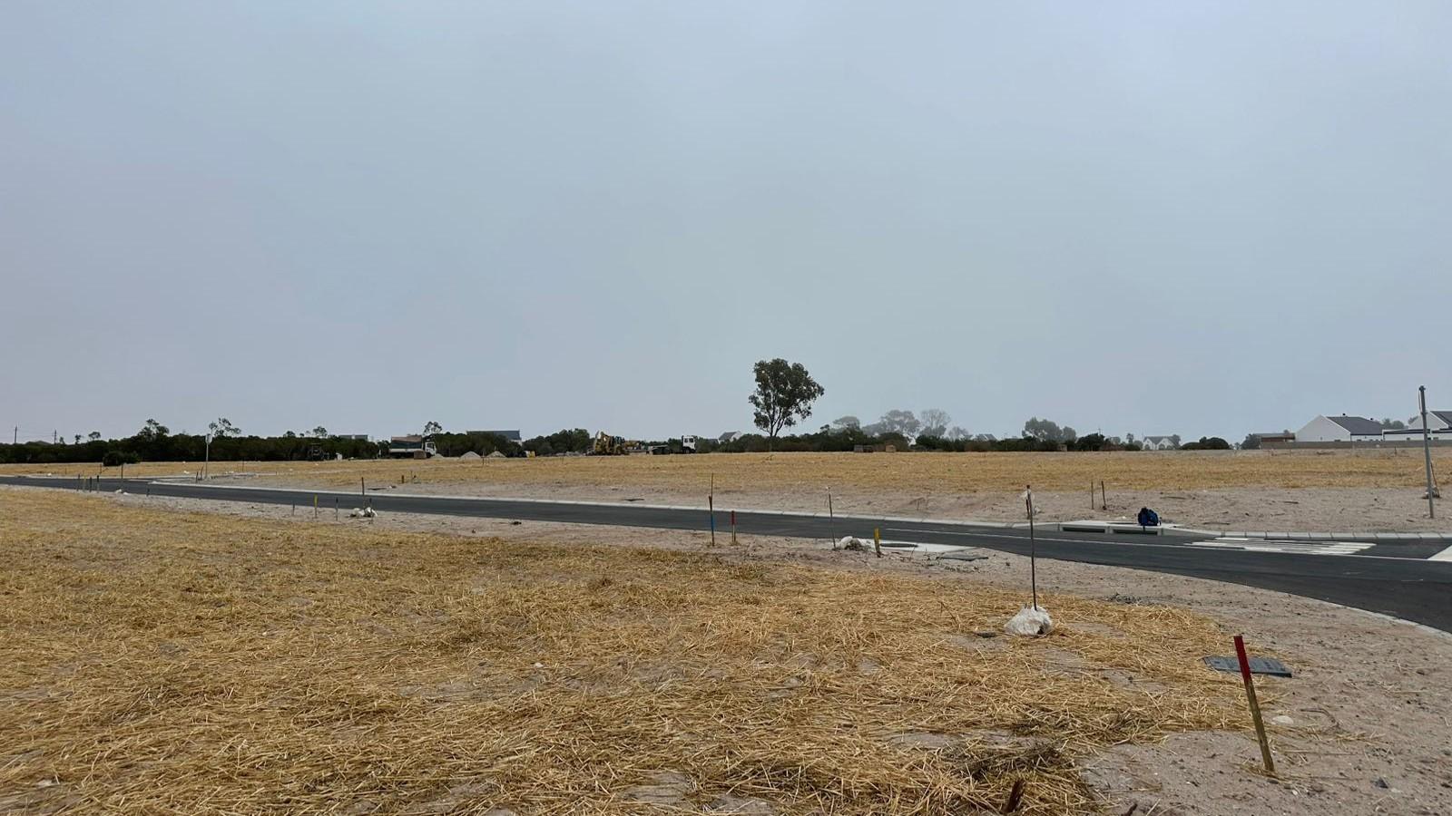 Image 4 of 6