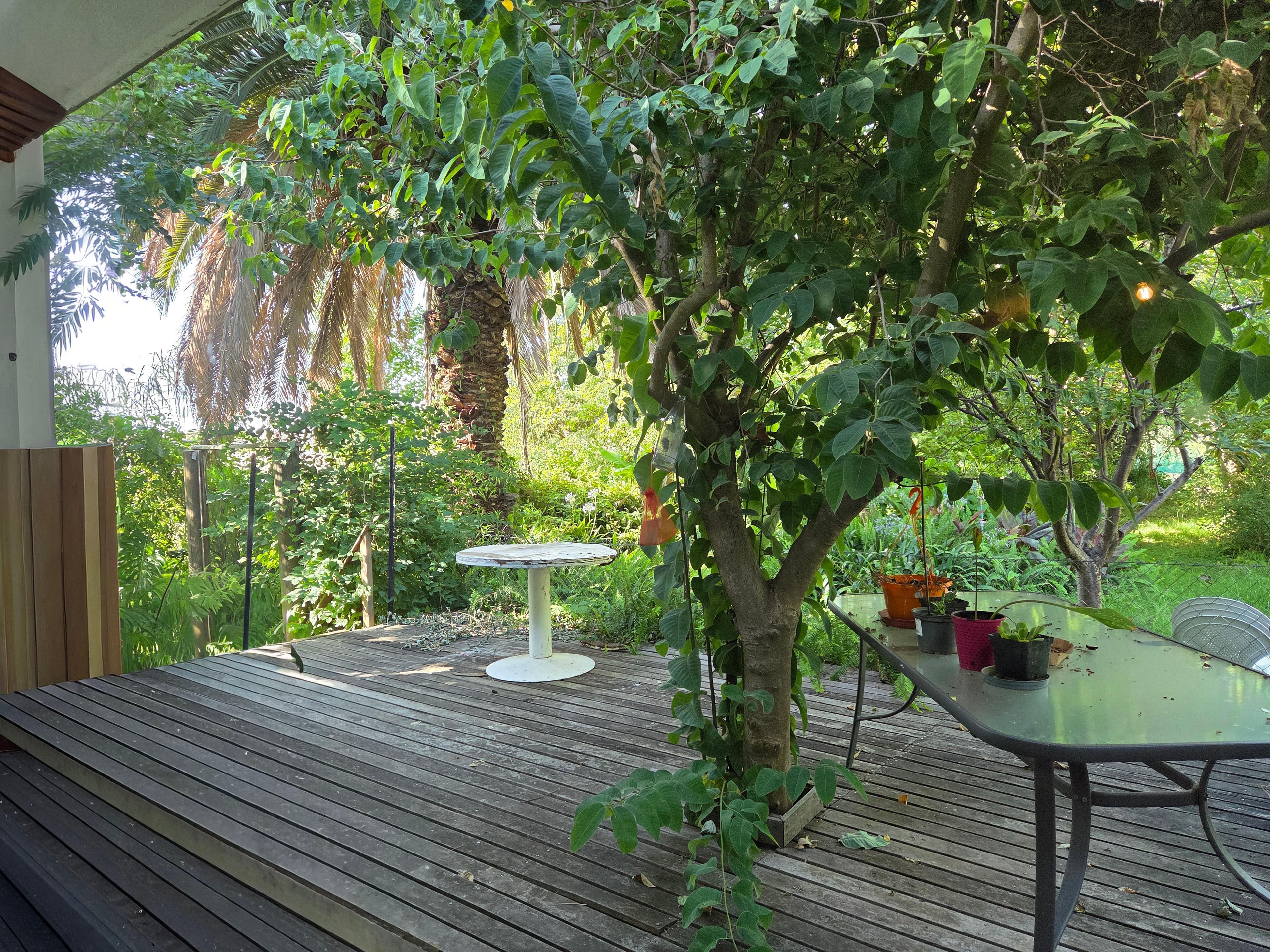 Image 12