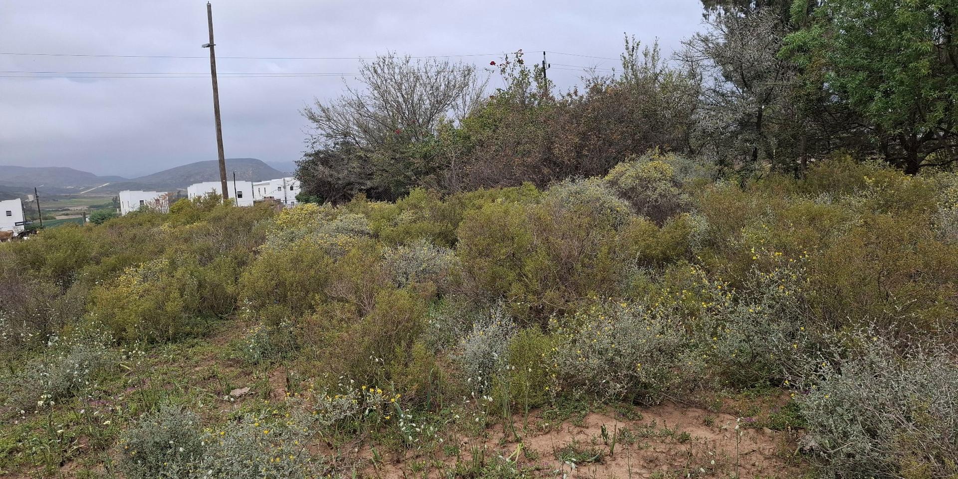 Image 4 of 6