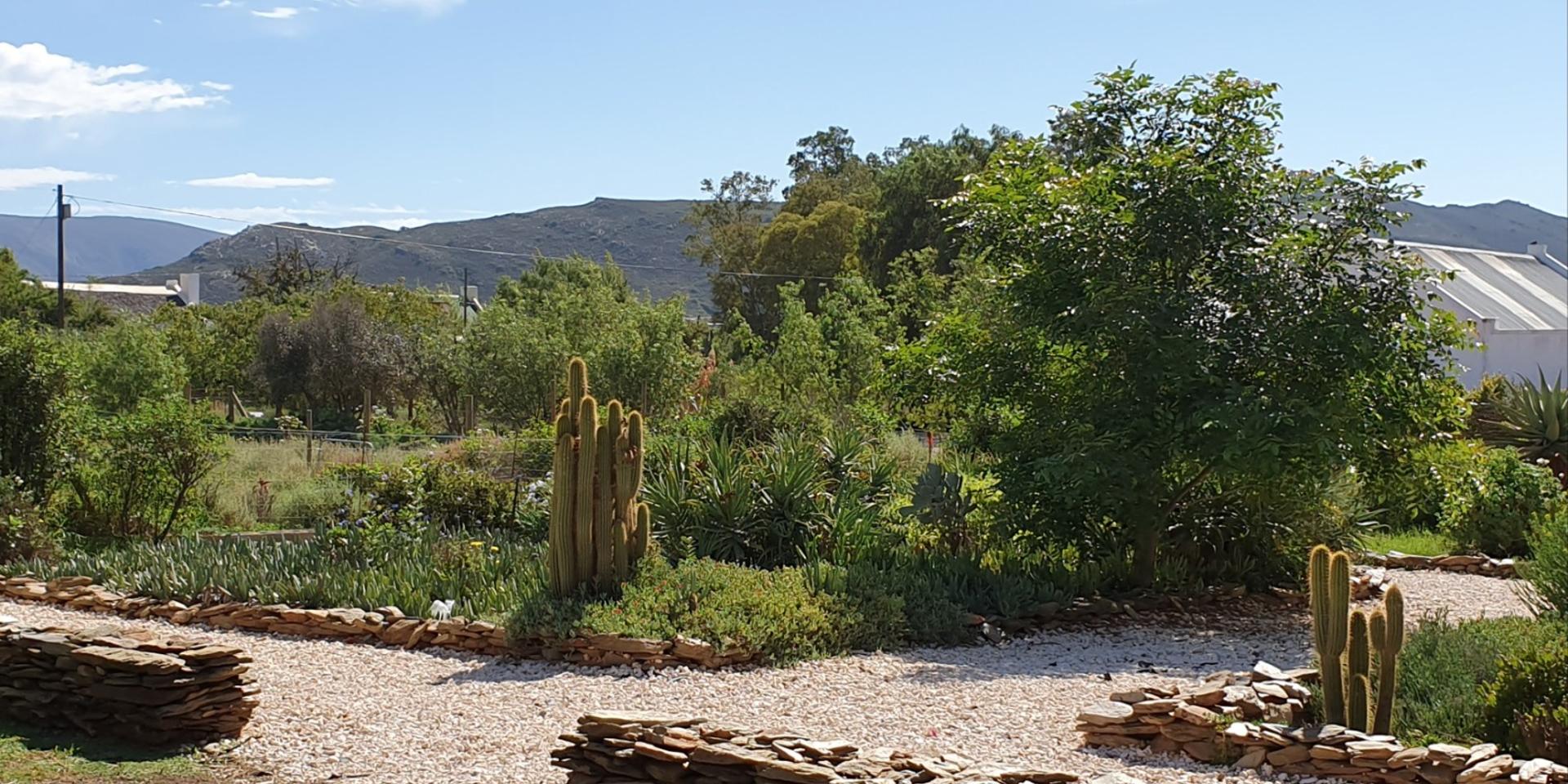 Image 3 of 6