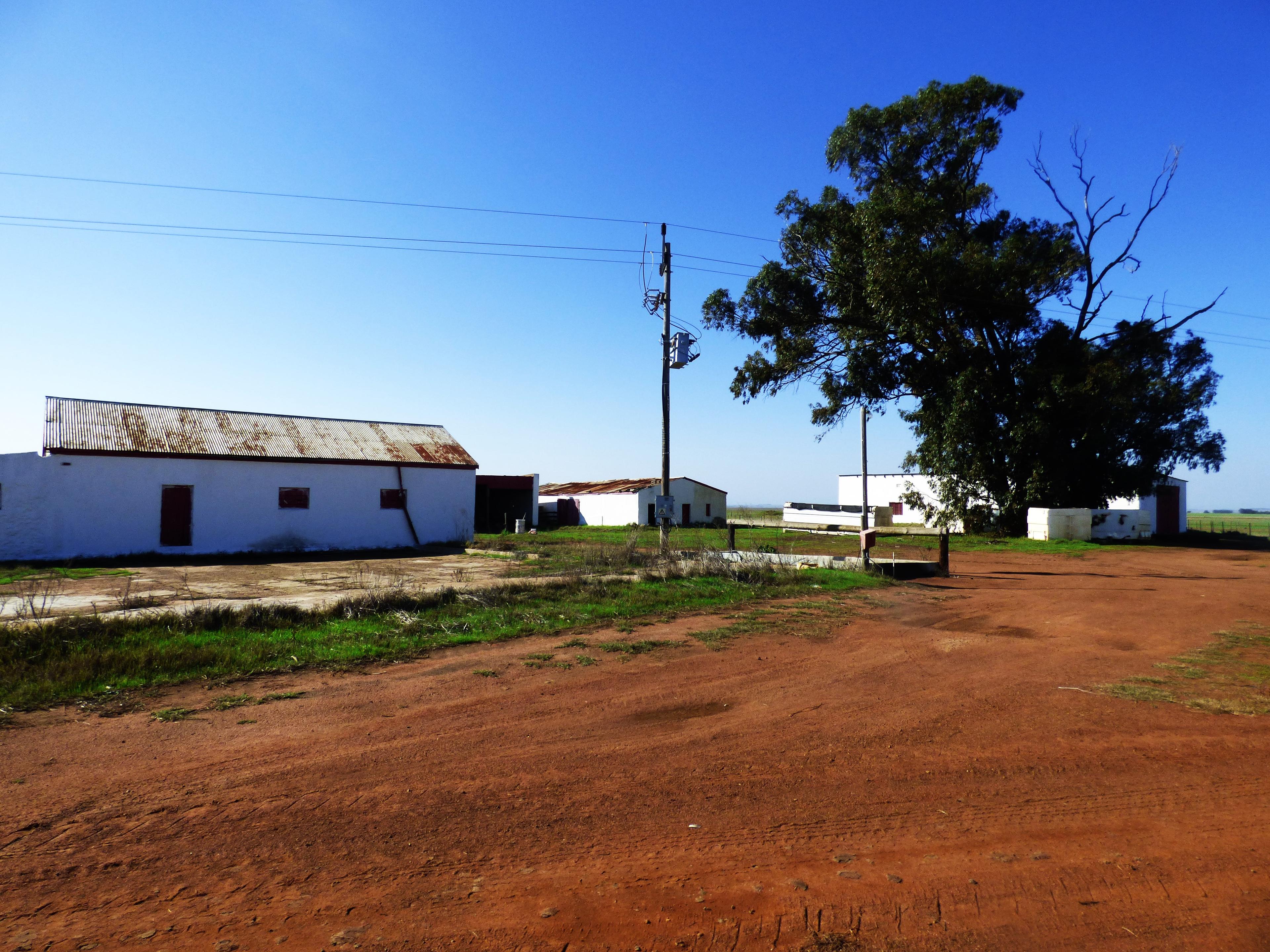 Image 6