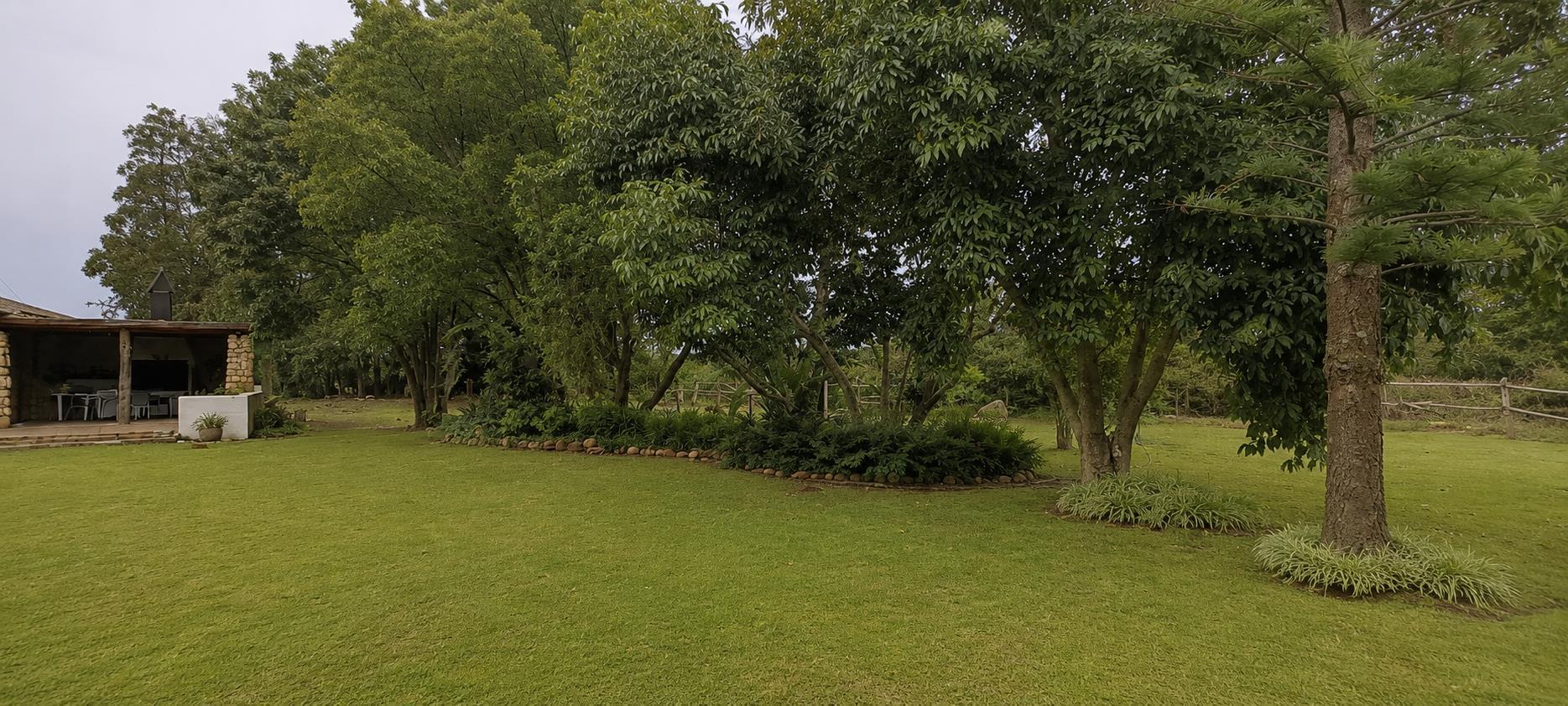 Image 53