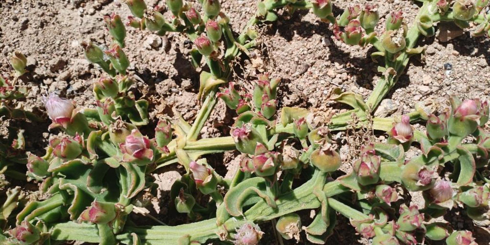 Image 3 of 6