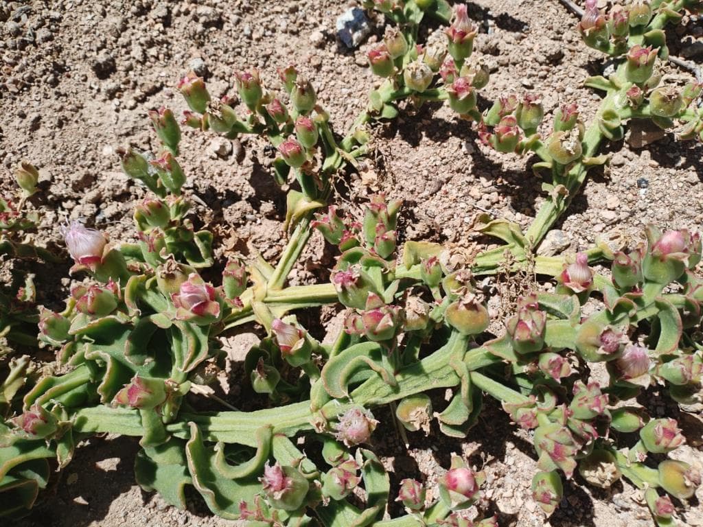 Image 3 of 6