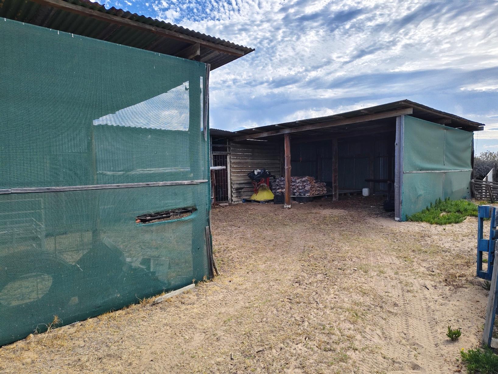 Image 5 of 6