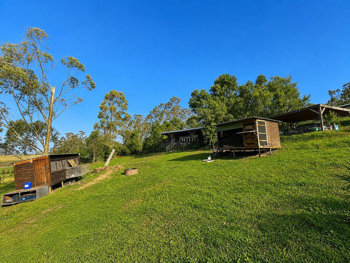 Image 5 of 6