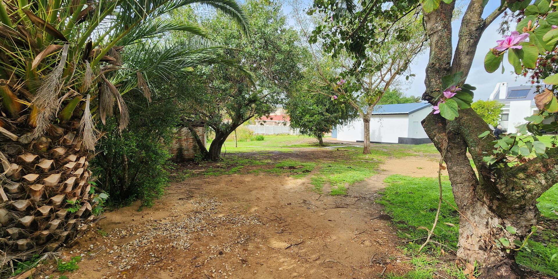 Image 4 of 6