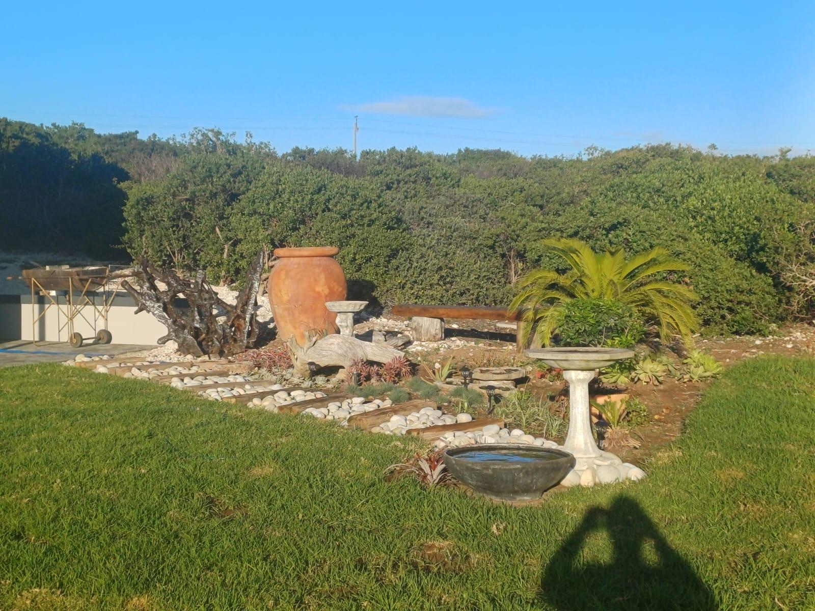 Image 19