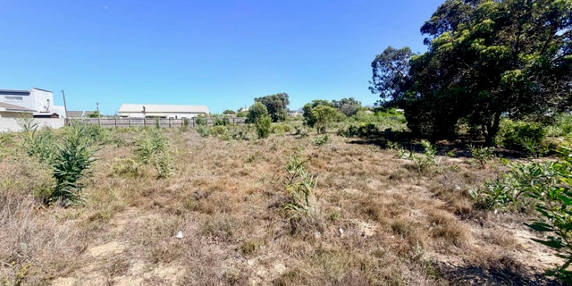 Image 4 of 6