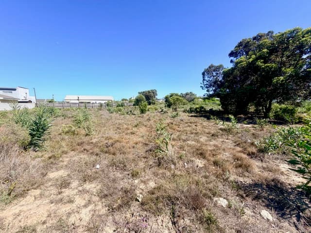 Image 4 of 6