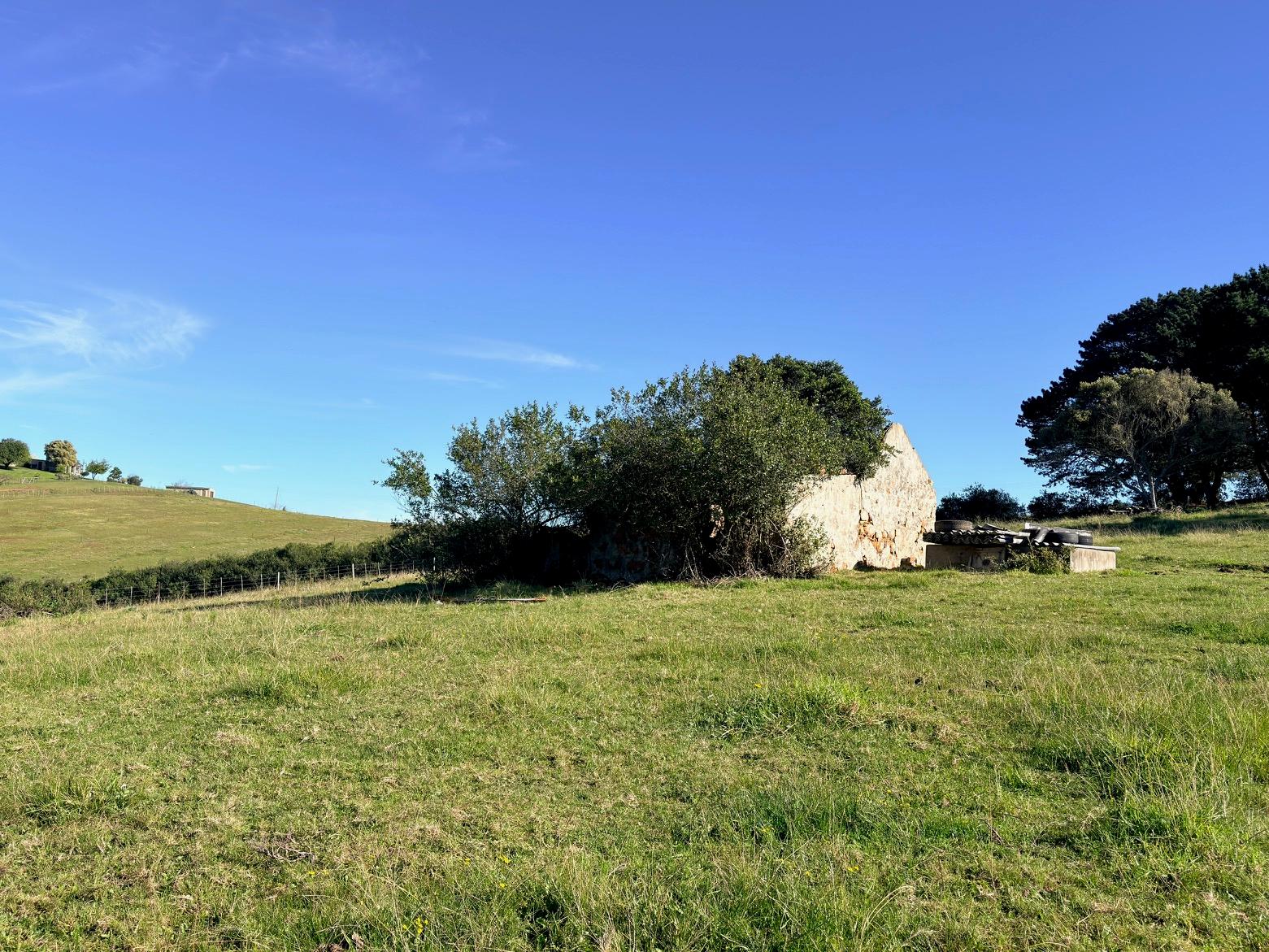 Image 39