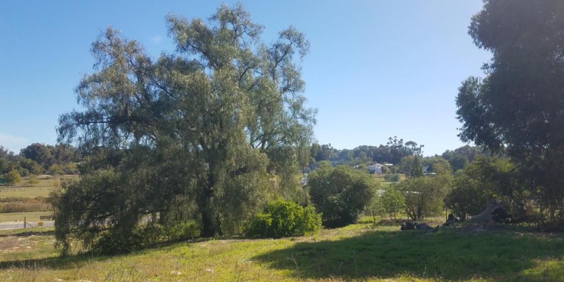Image 2 of 6