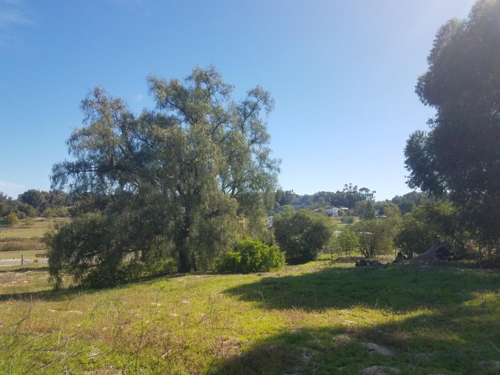 Image 2 of 6
