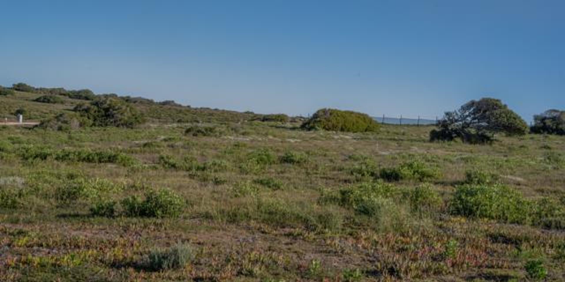 Image 4 of 6
