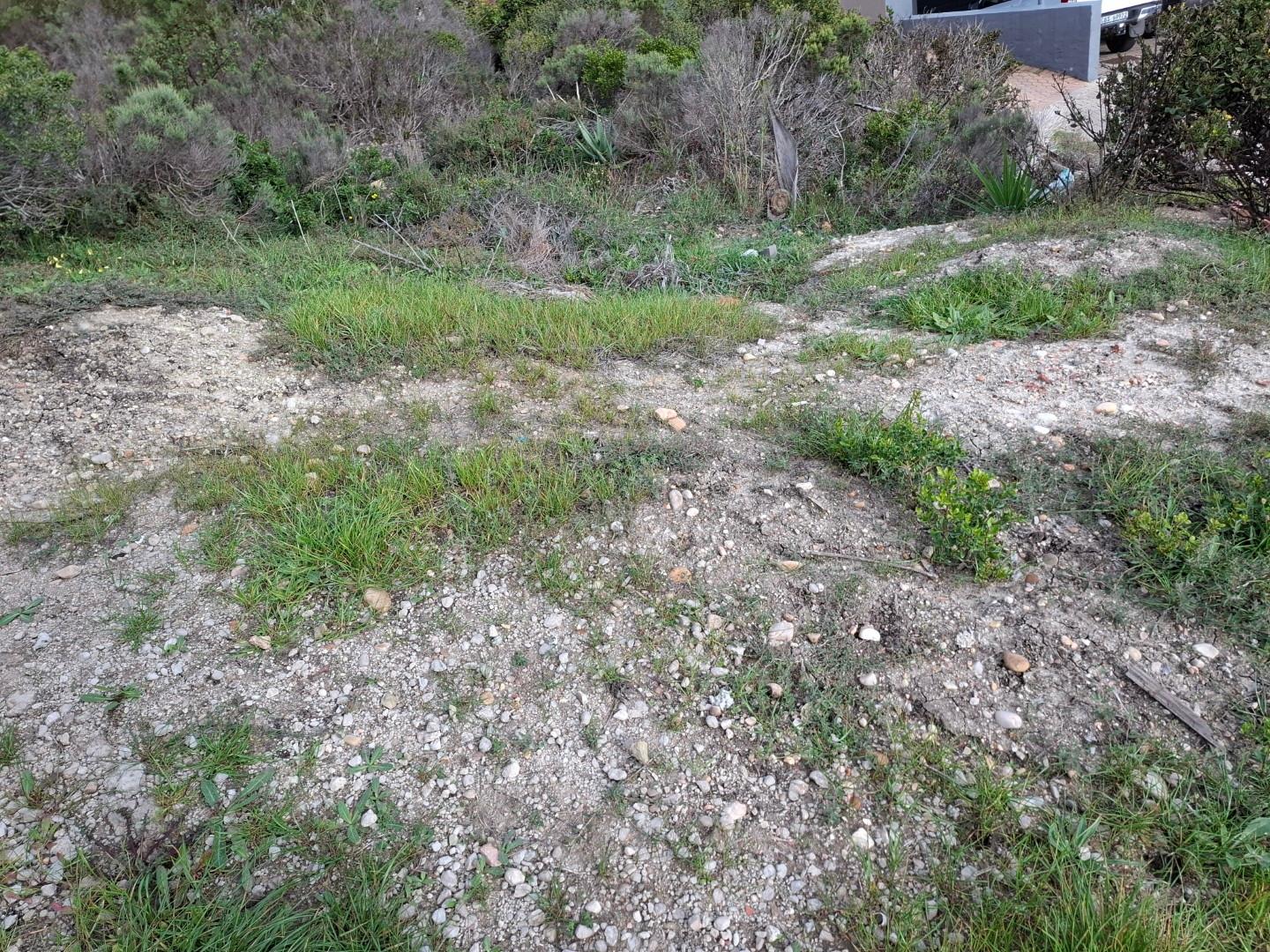 Image 4 of 6