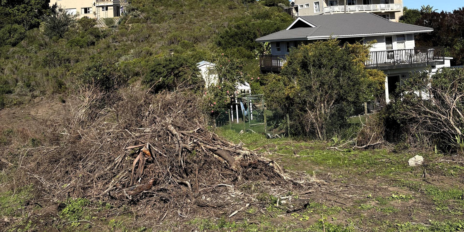 Image 4 of 6