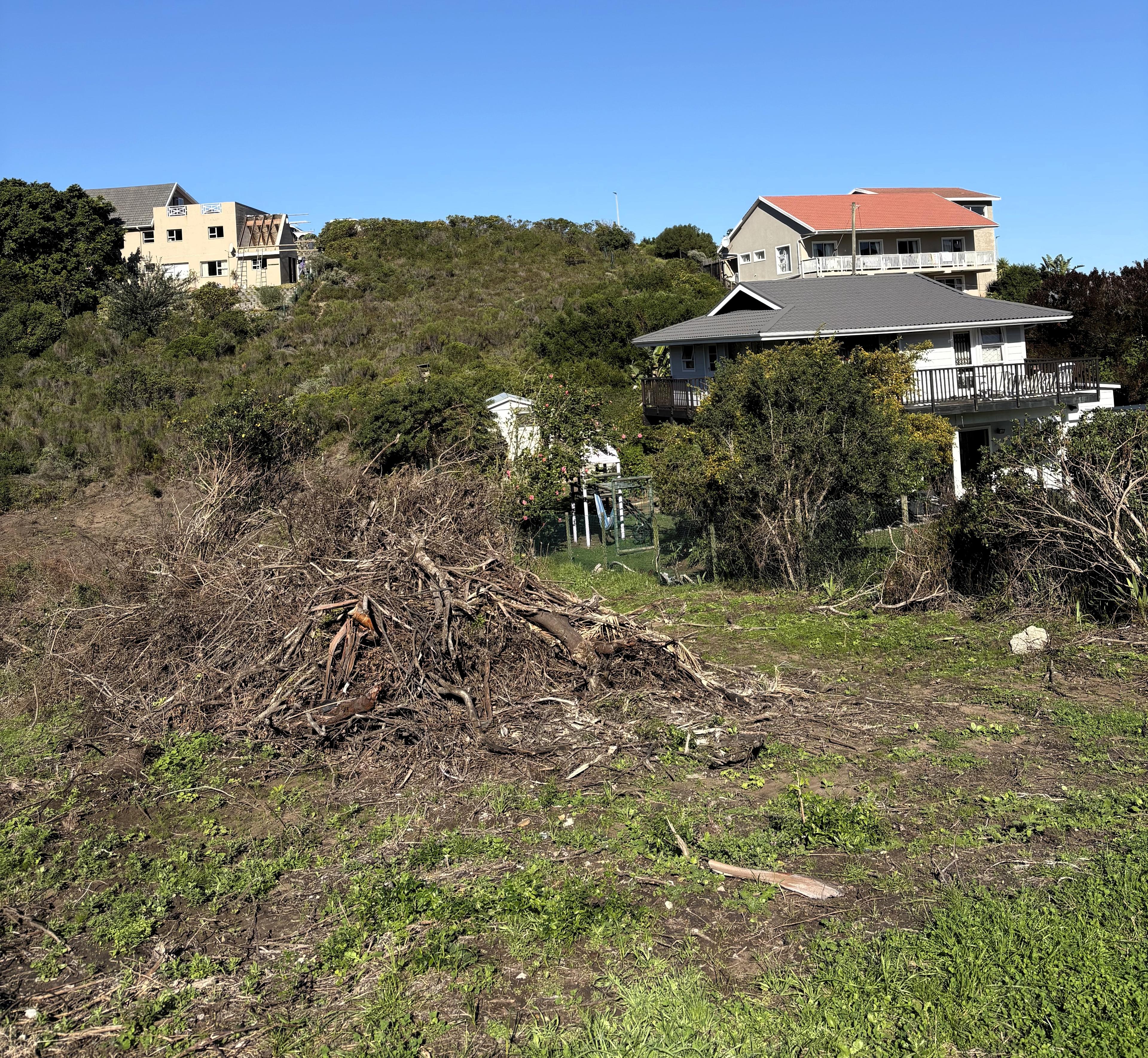Image 4 of 6