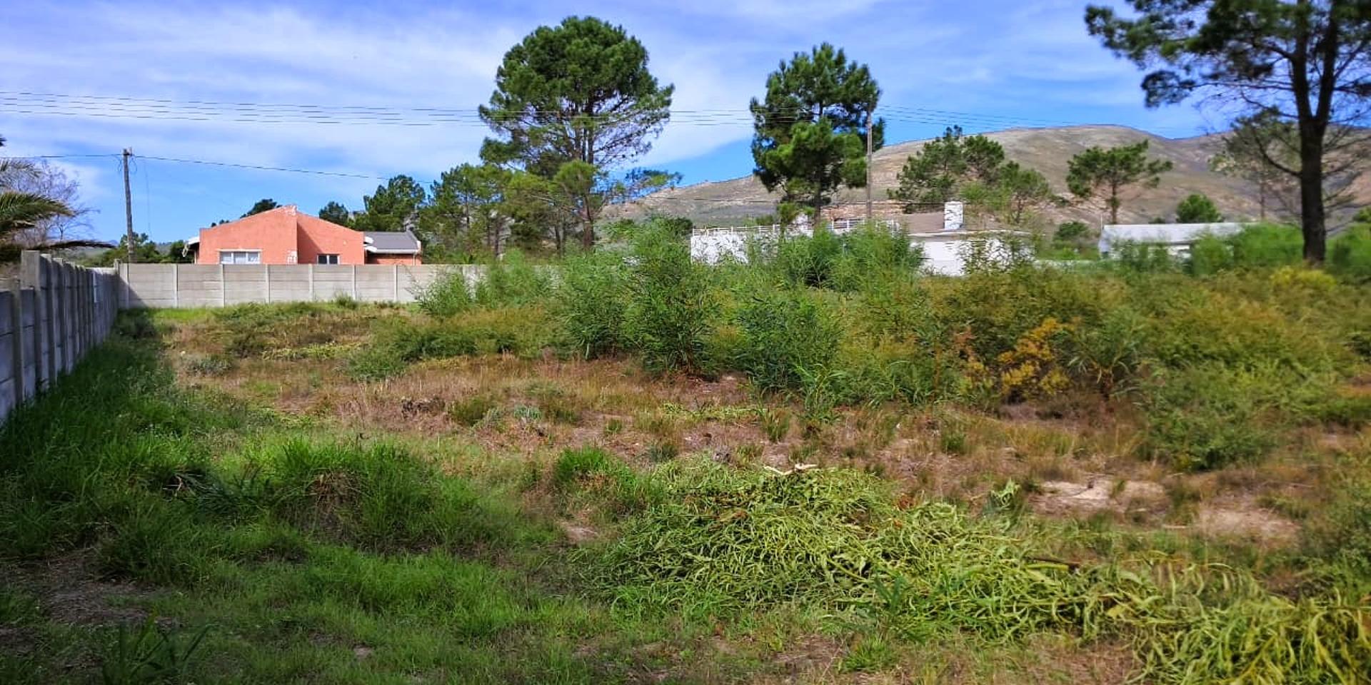 Image 2 of 6