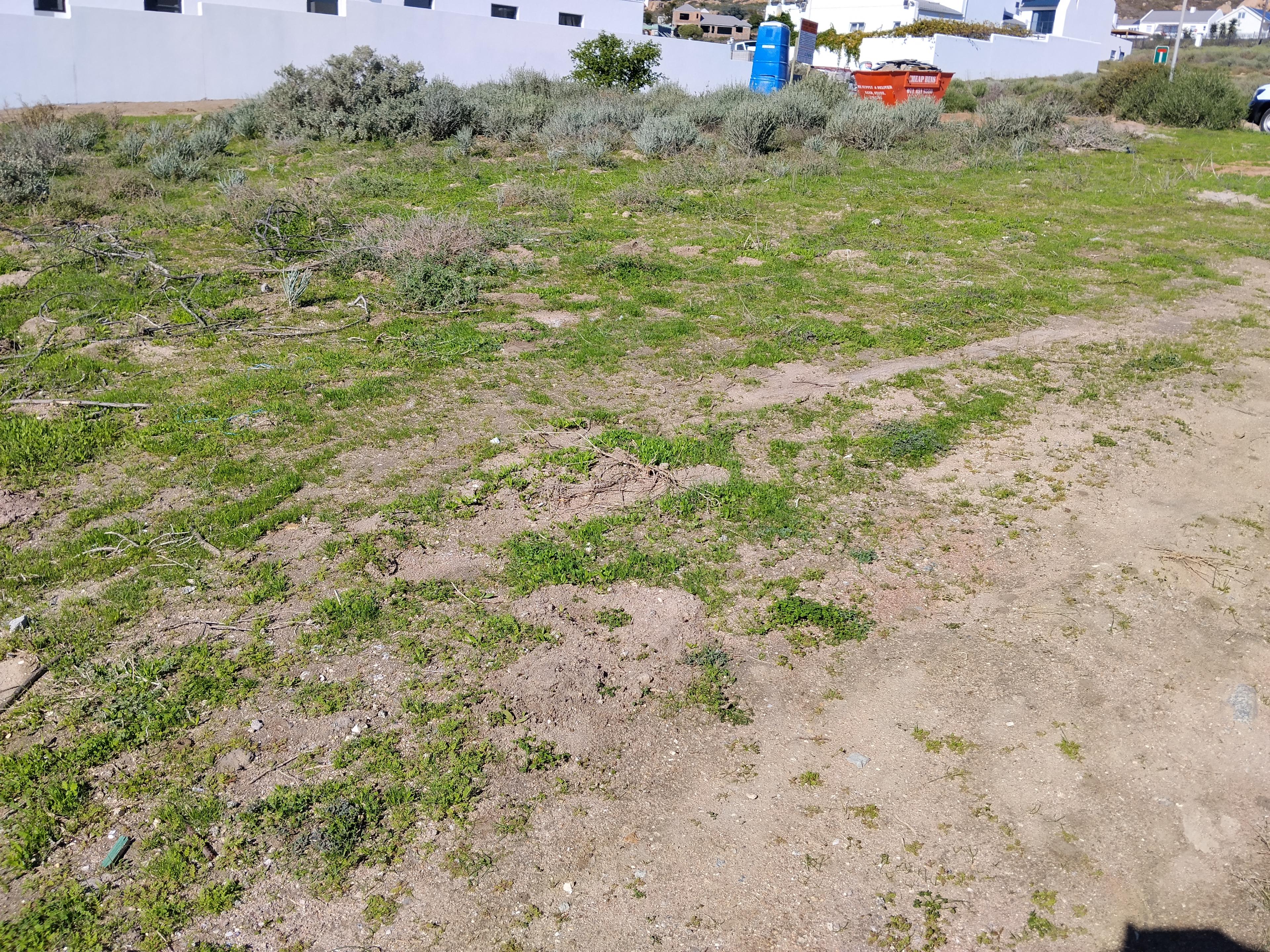 Image 5 of 6