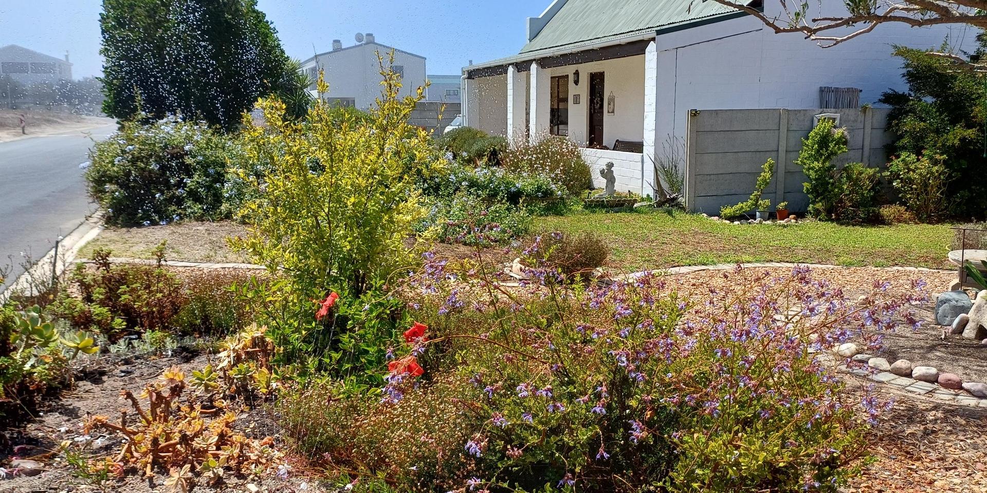 Image 4 of 6