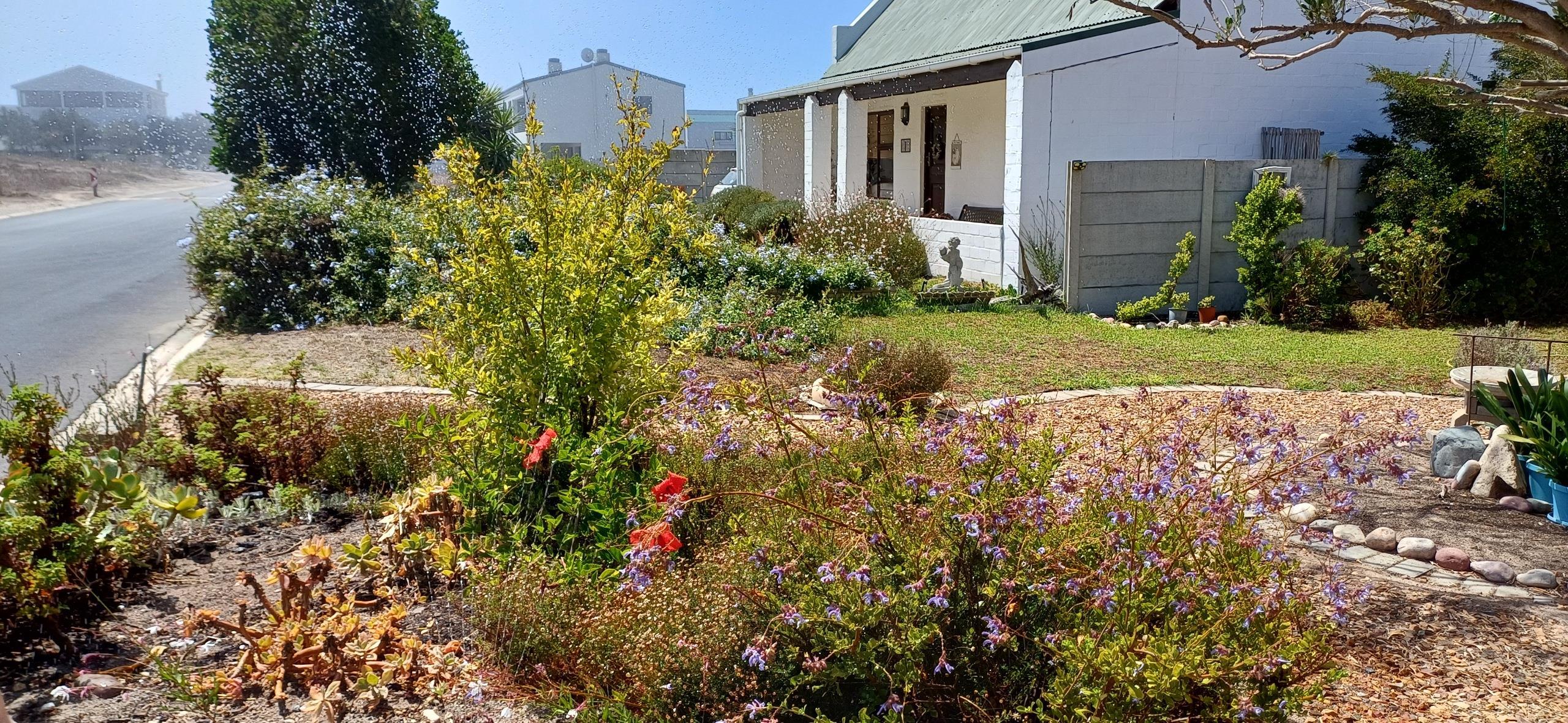 Image 4 of 6