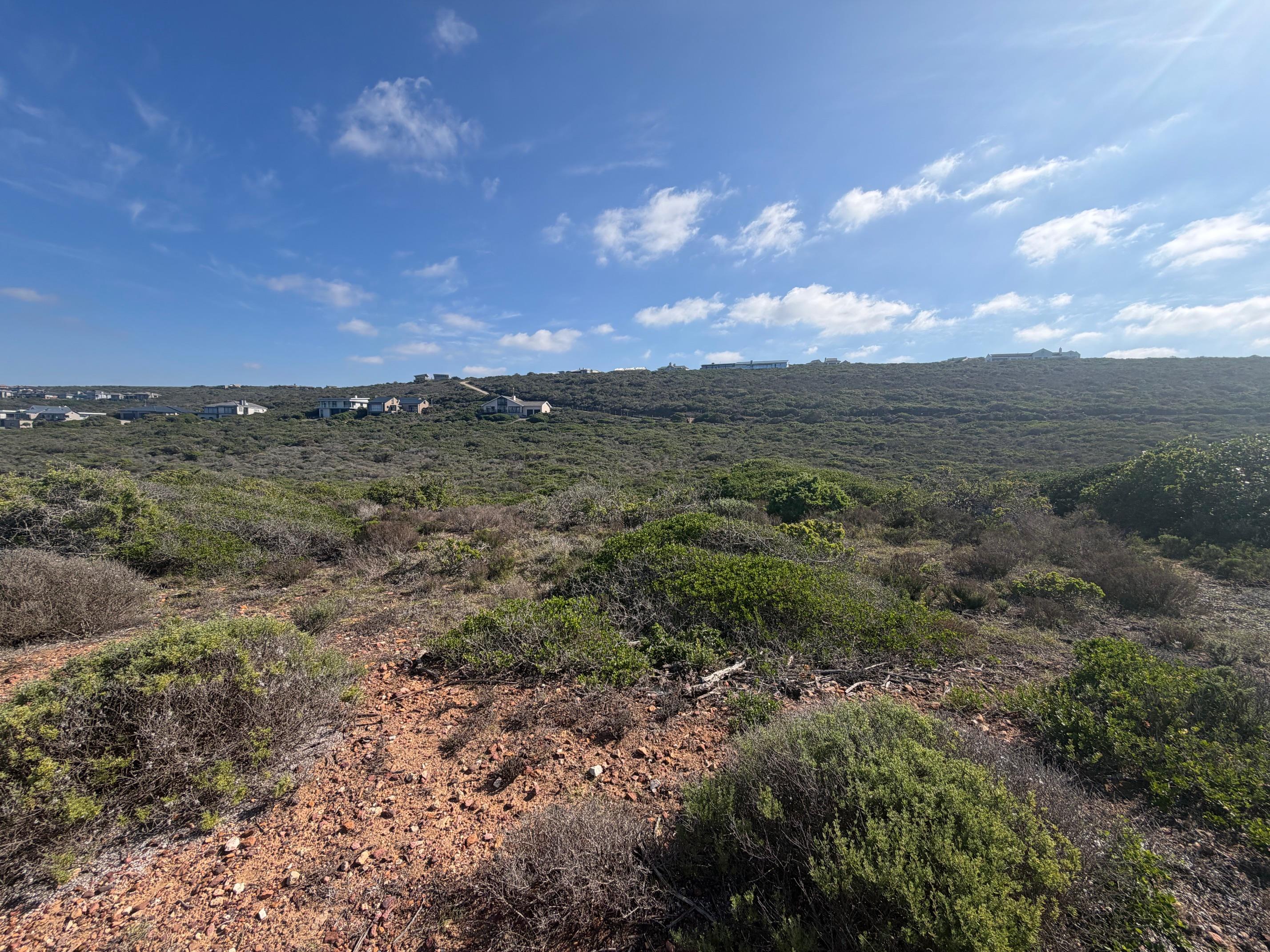 Image 2 of 6