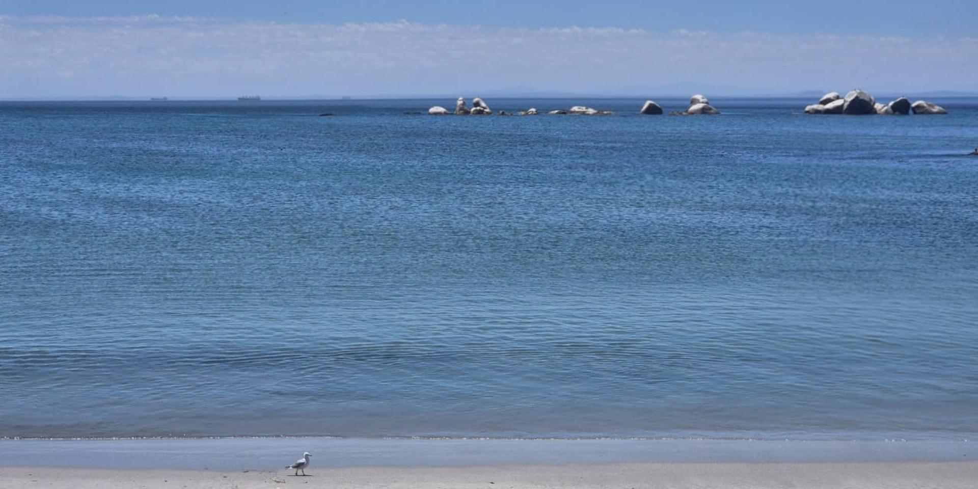 Image 2 of 6
