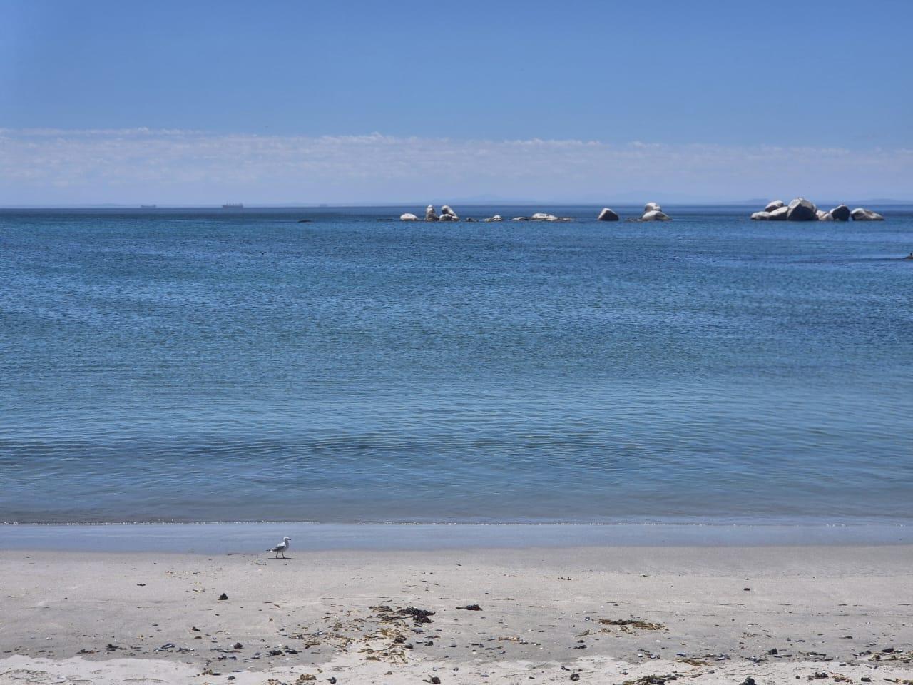 Image 2 of 6