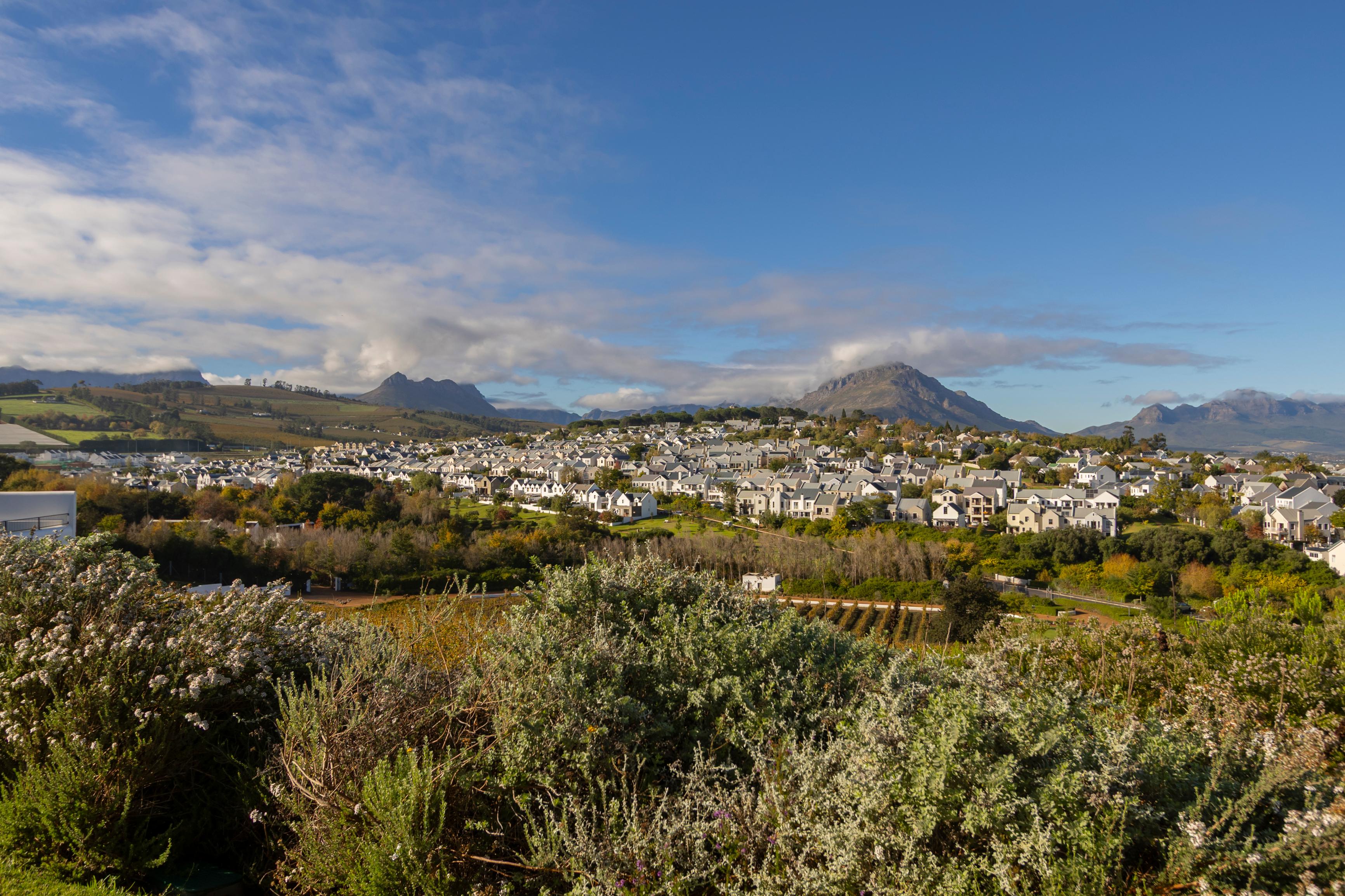 Image 4 of 6