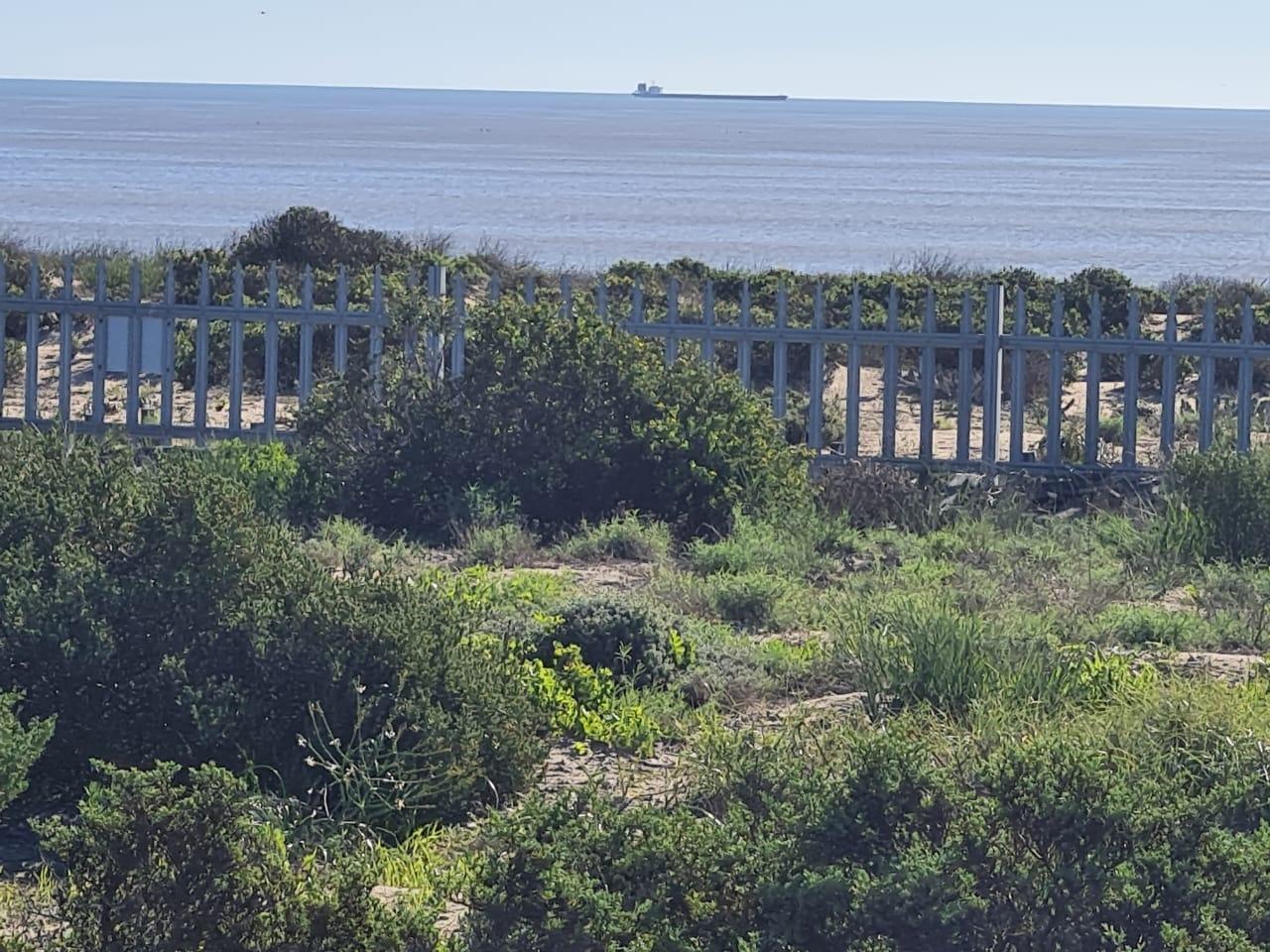 Image 14